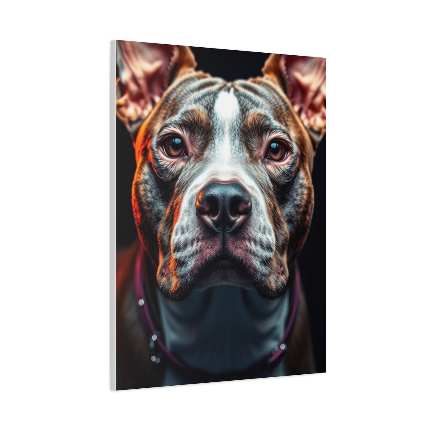 Collection Pit Bull Art Art Wall Art & Canvas Print