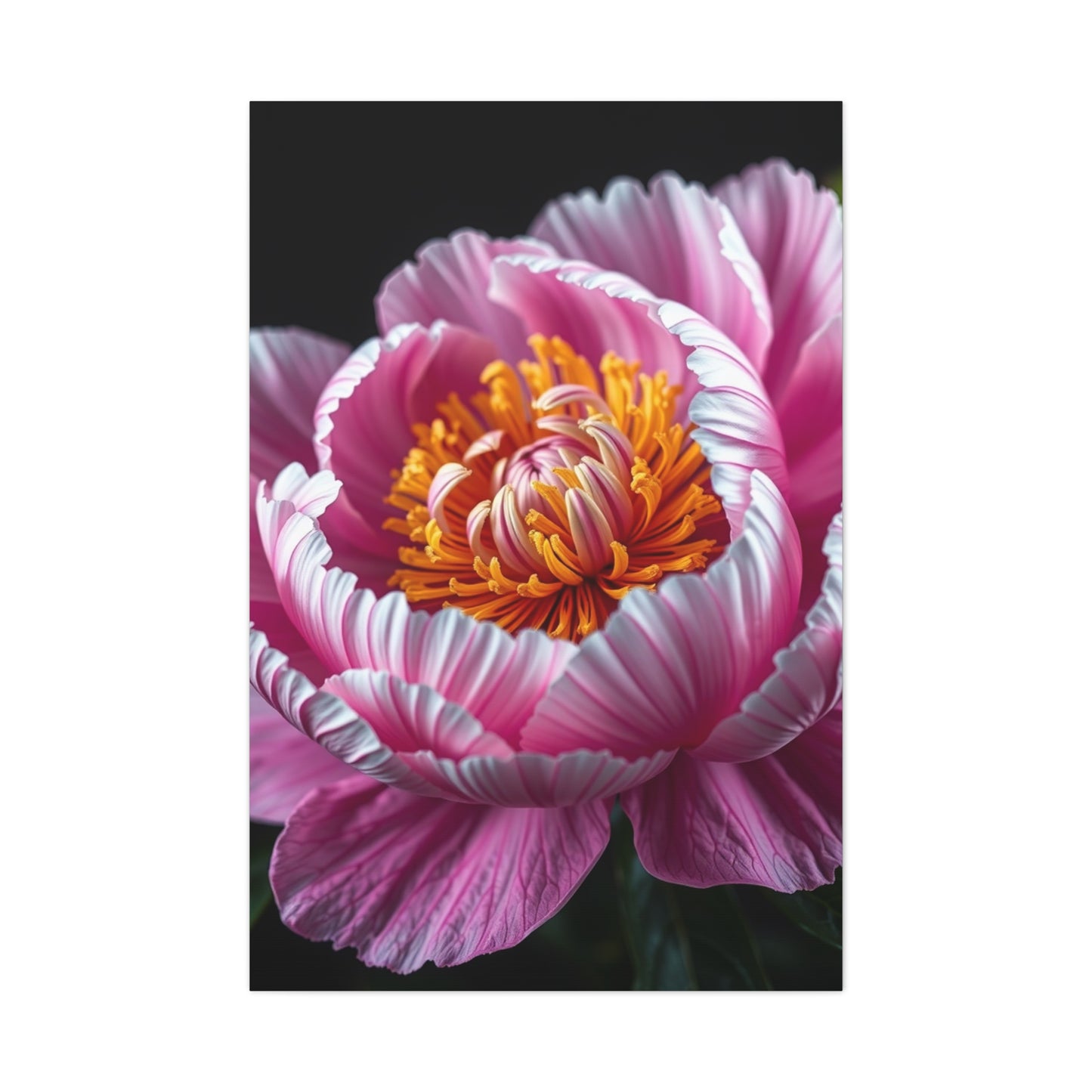 Celestial Peony Elegance Wall Art & Canvas Print