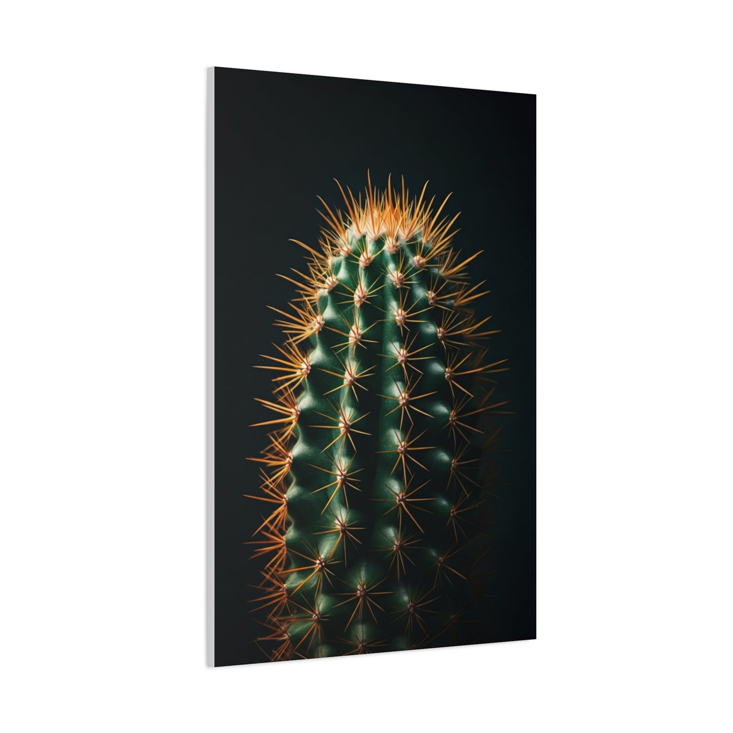 Golden Spine Barrel Cactus Close-Up Wall Art & Canvas Prints