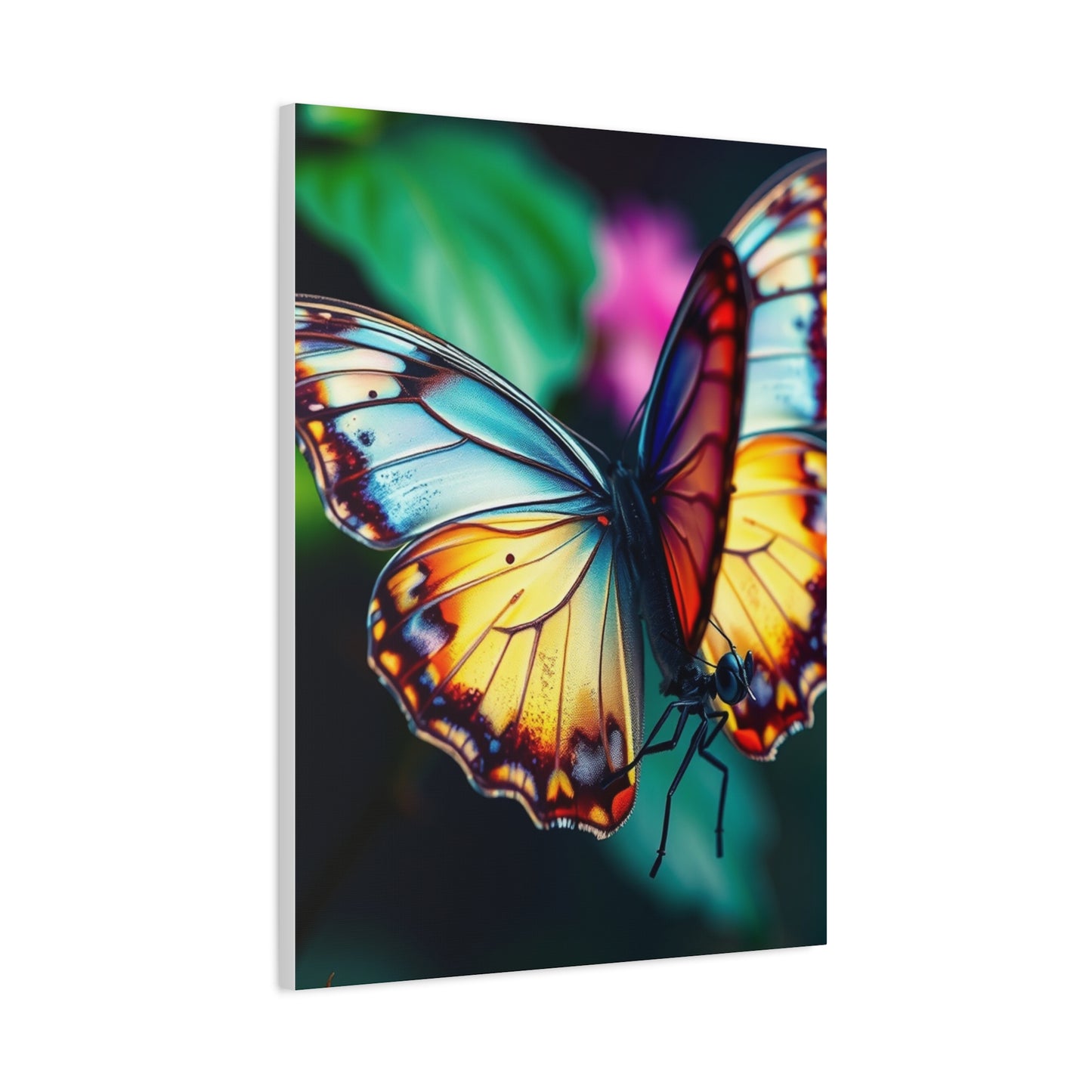 Exquisite Lepidoptera Panorama Wall Art & Canvas Print