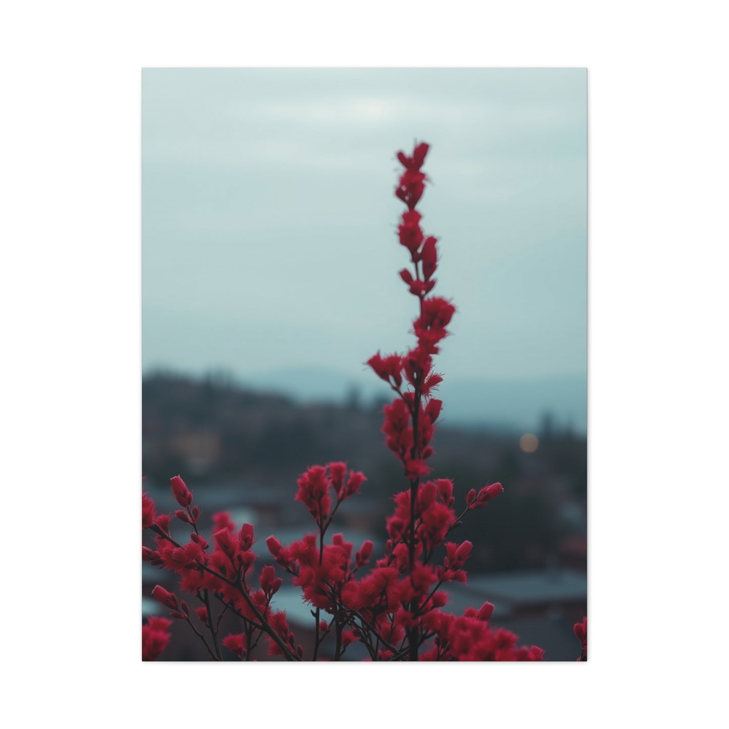 Rosy Elegance Wall Art Wall Art & Canvas Print