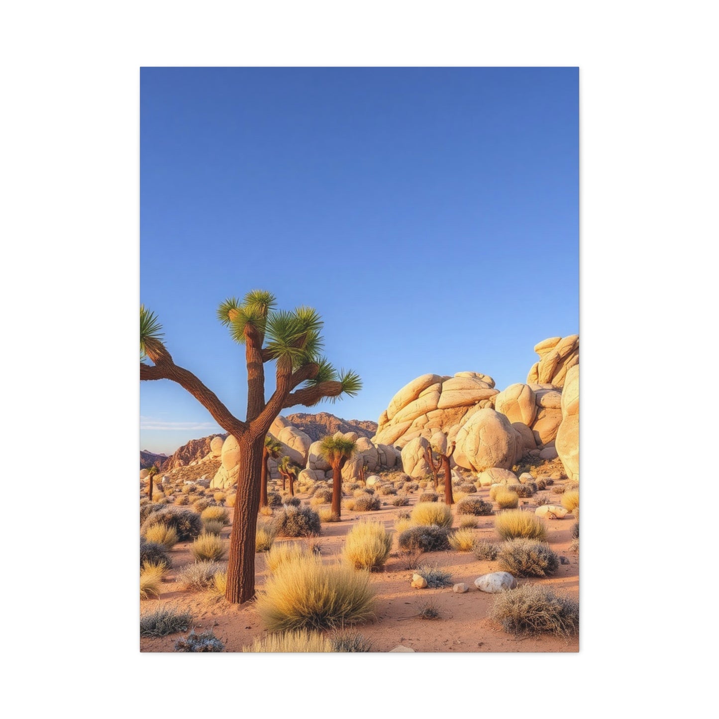 Joshua Tree National Park Art Supreme Gallery Wall Art & Canvas Print