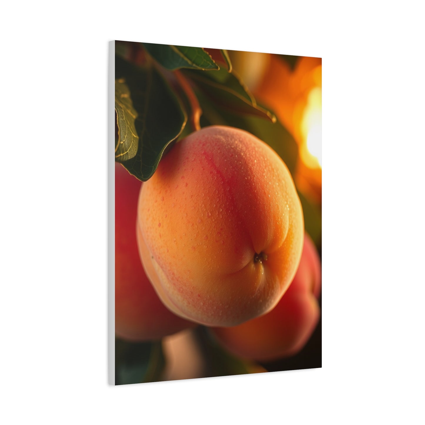 Elite Peach Art Vision Wall Art & Canvas Print