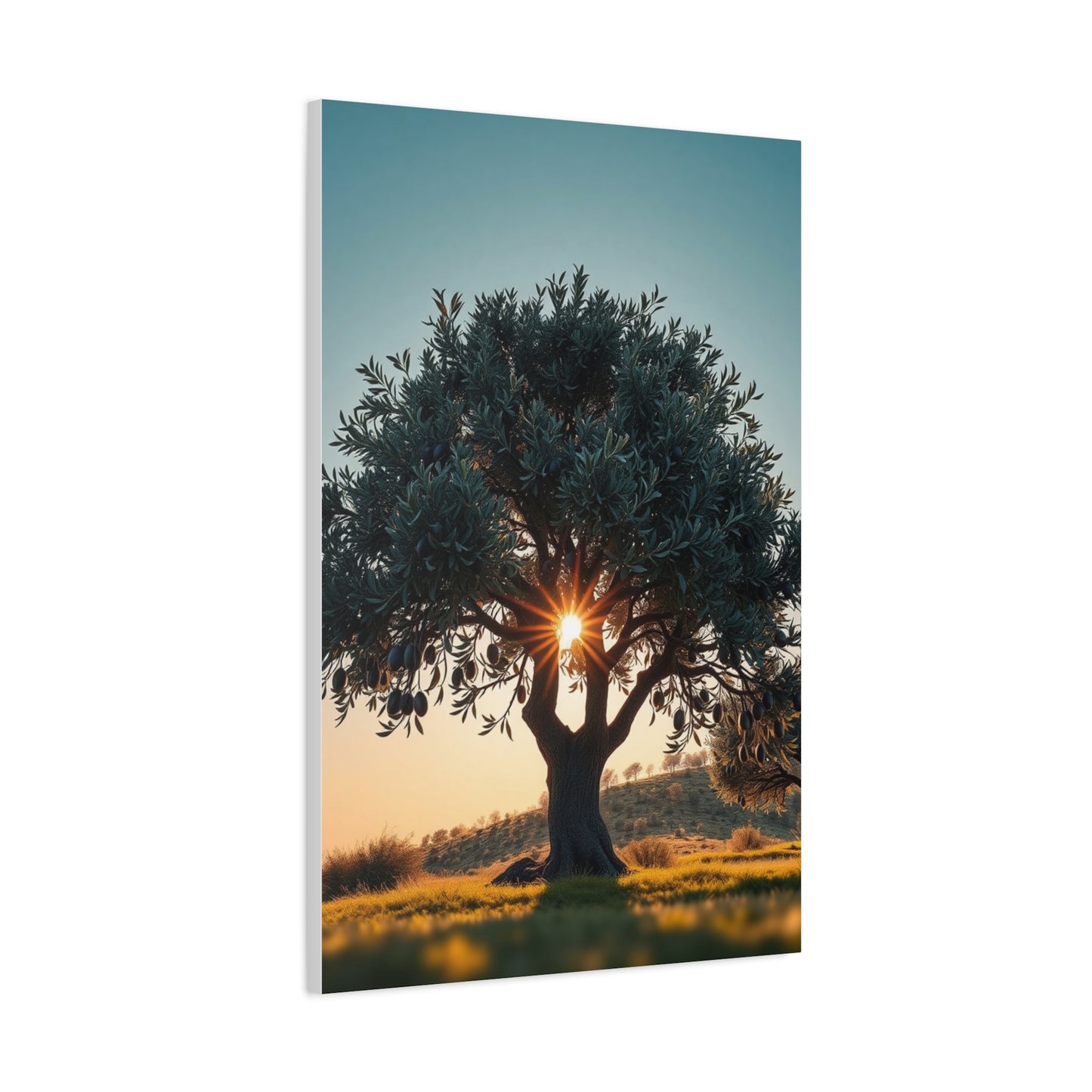 Collection Olive Tree Art Art Wall Art & Canvas Print