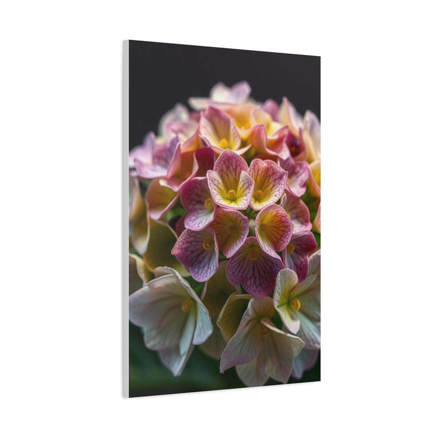 Vision Hydrangea Flower Art Art Wall Art & Canvas Print