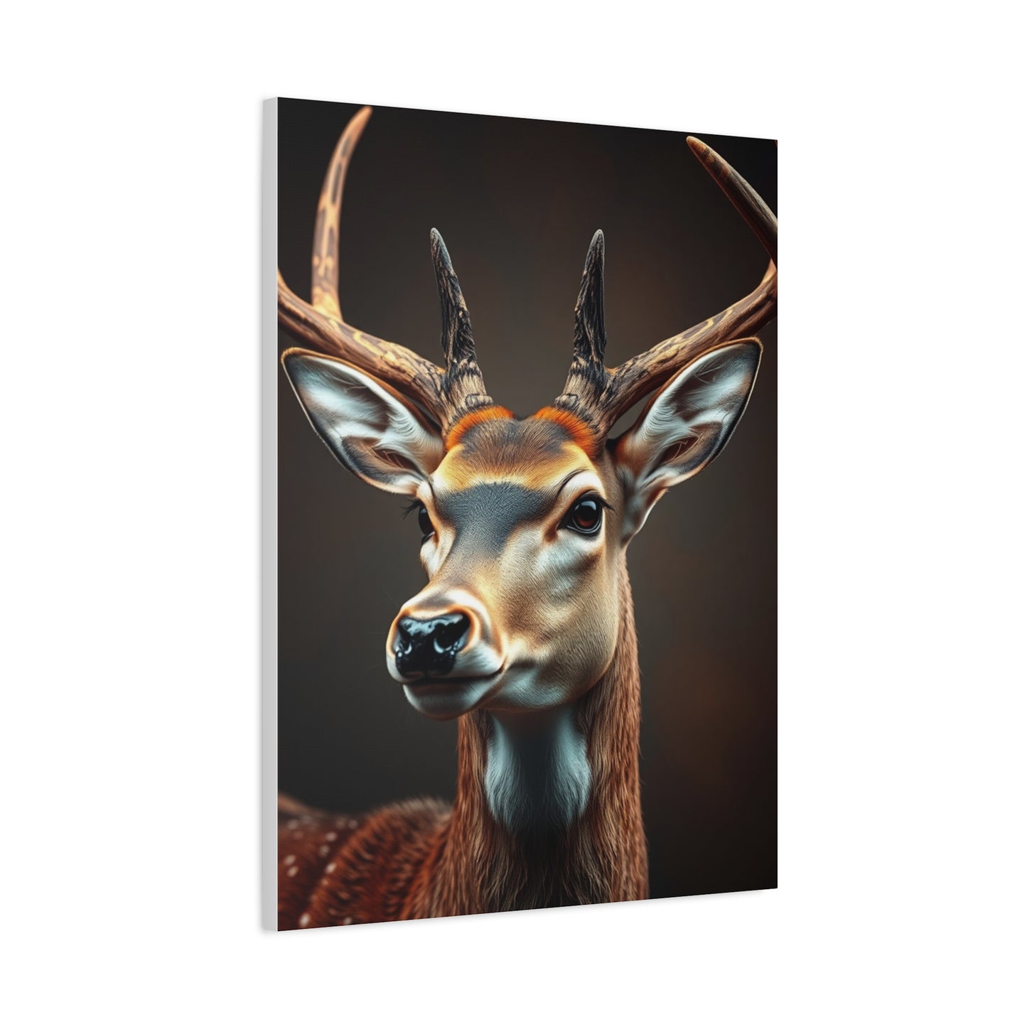 Luminous Buck Composition Wall Art & Canvas Print