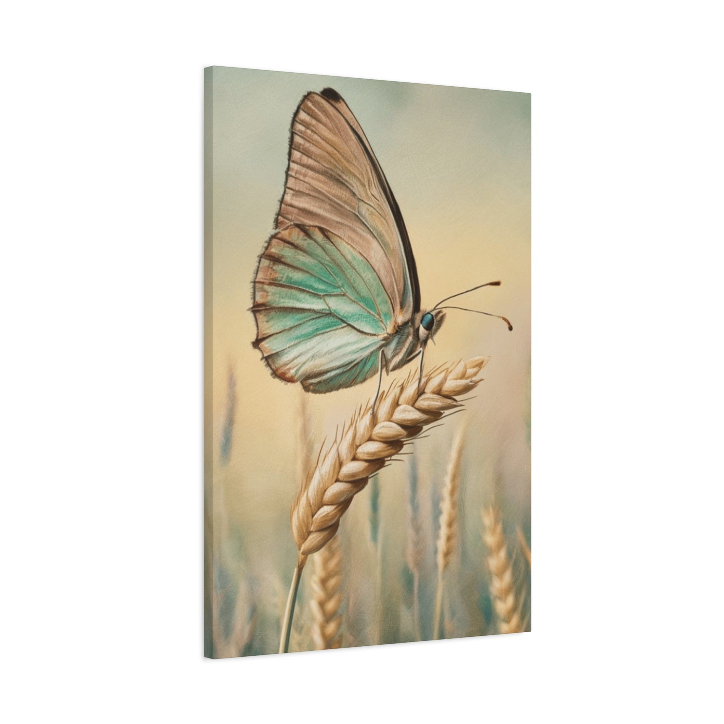 Butterfly on Wheat Crop Painting Wall Art & Canvas Prints