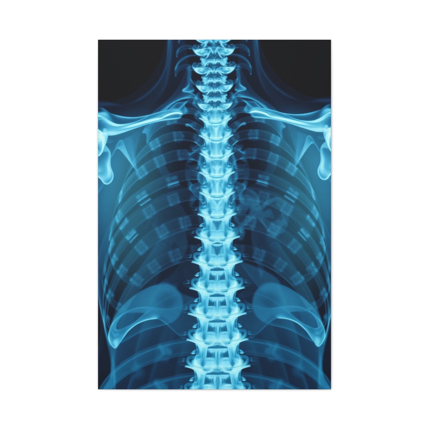 X-Ray Photography Art Supreme Gallery Wall Art & Canvas Print