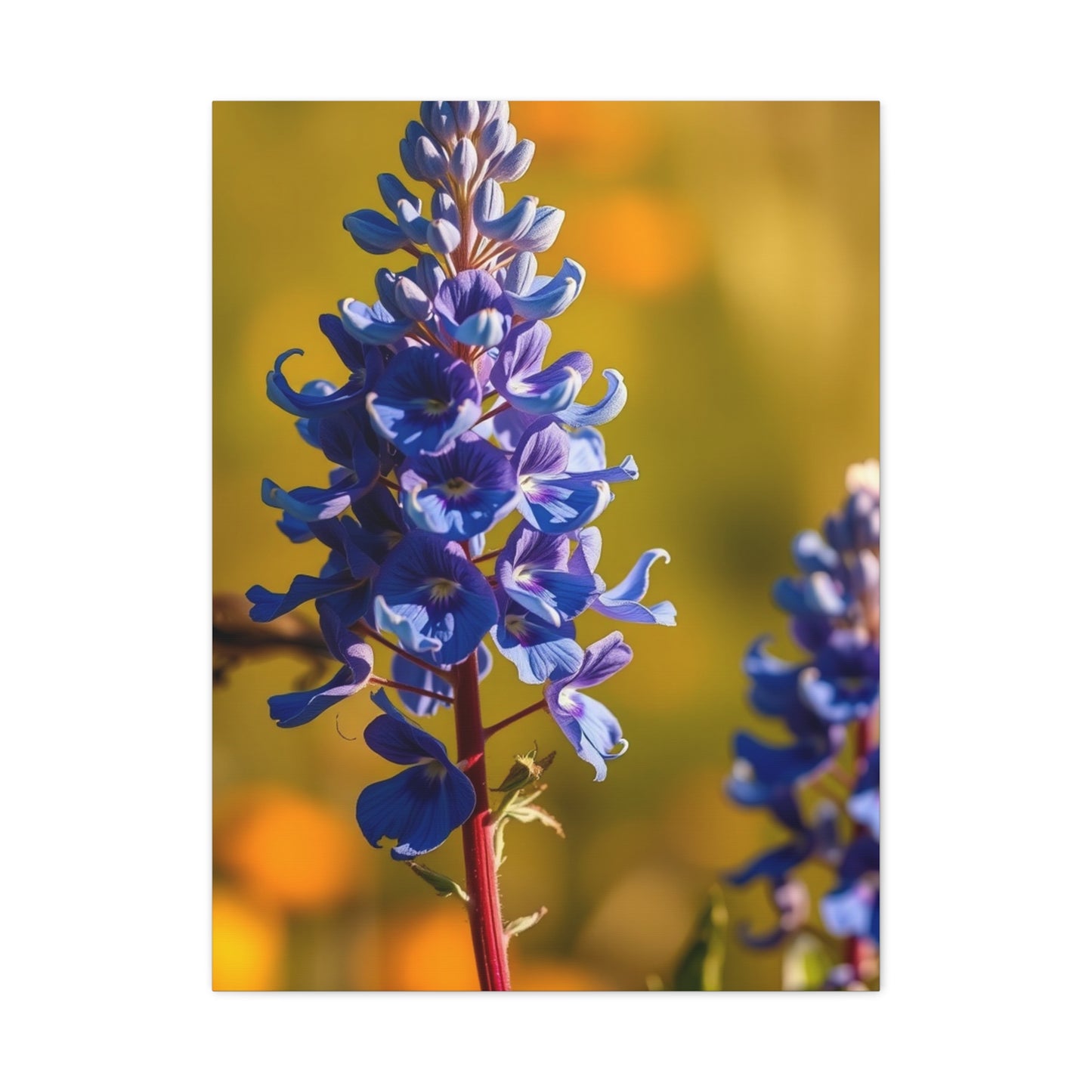 Bluebonnet Flower Art Luxury Canvas Wall Art & Canvas Print