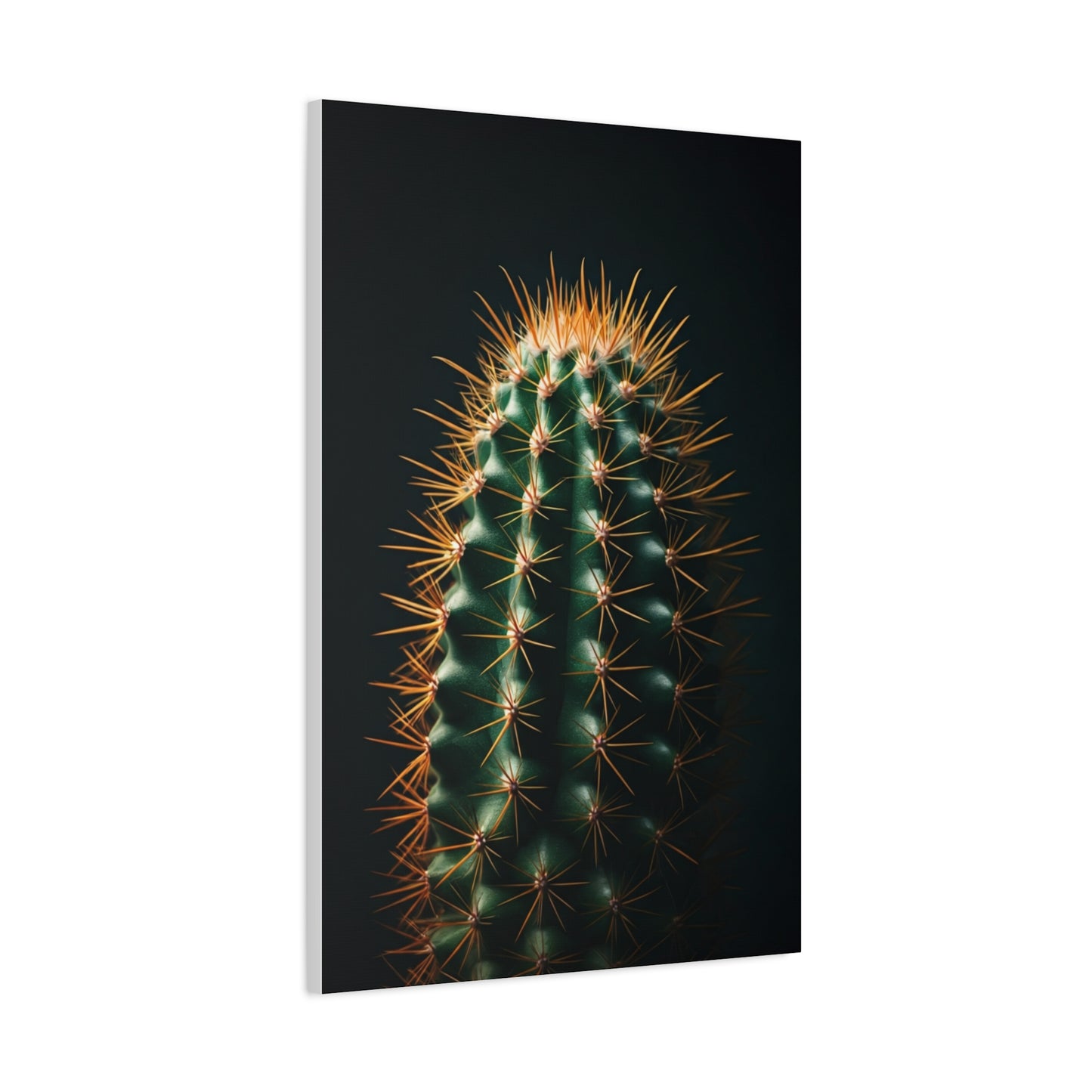 Golden Spine Barrel Cactus Close-Up Wall Art & Canvas Prints