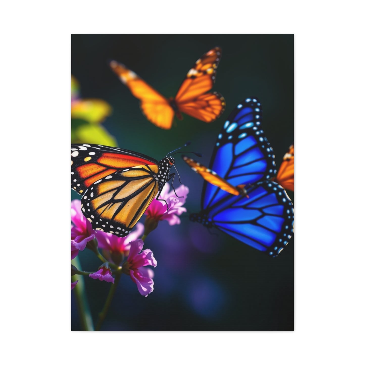 Monarch Butterflies Art Supreme Gallery Wall Art & Canvas Print