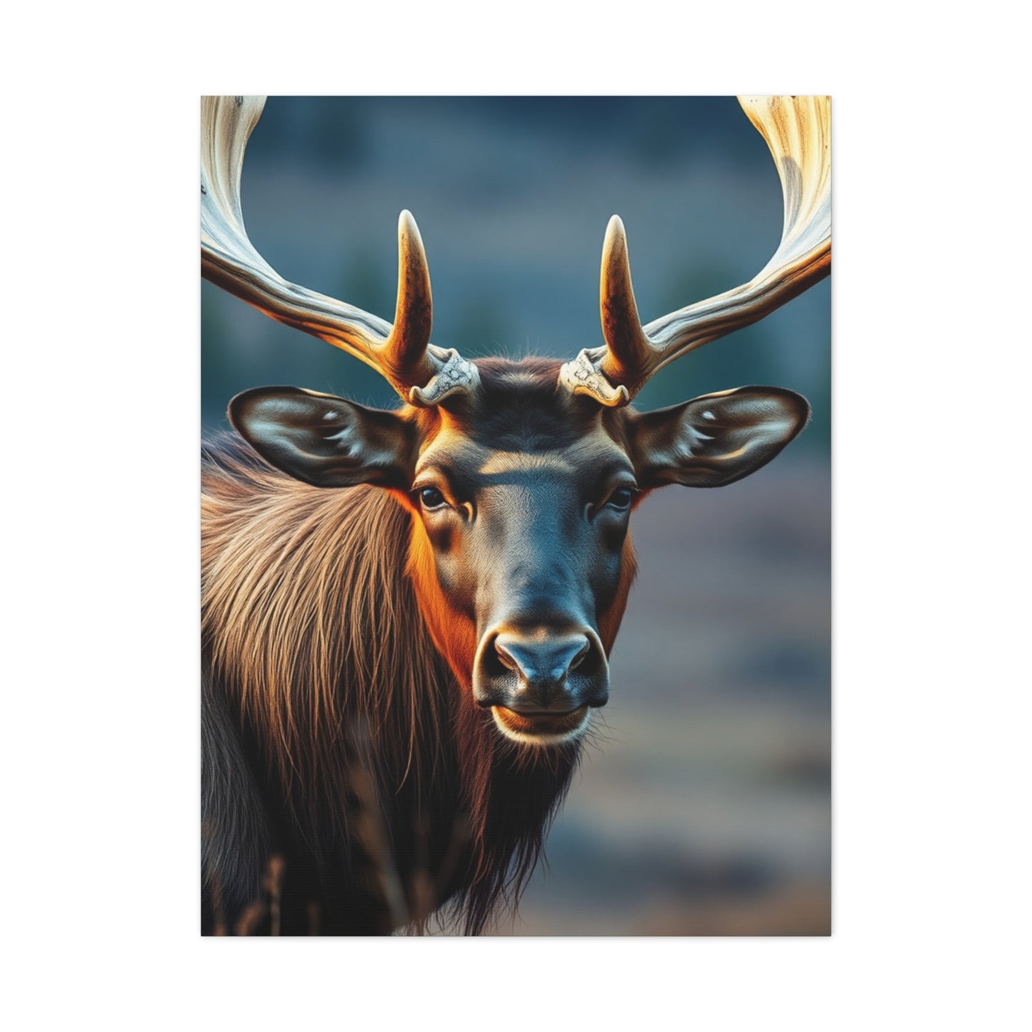 Elite Elk Art Vision Wall Art & Canvas Print