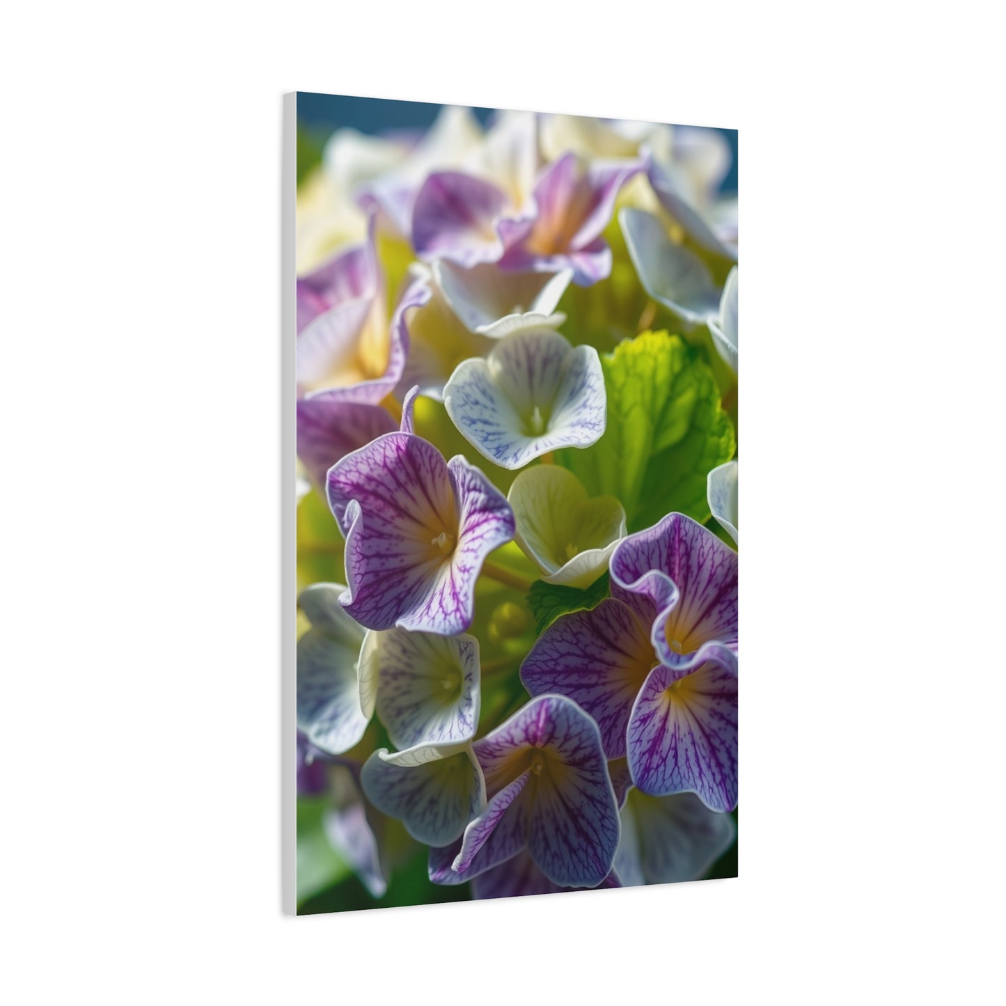 Hydrangea Flower Art Supreme Gallery Wall Art & Canvas Print