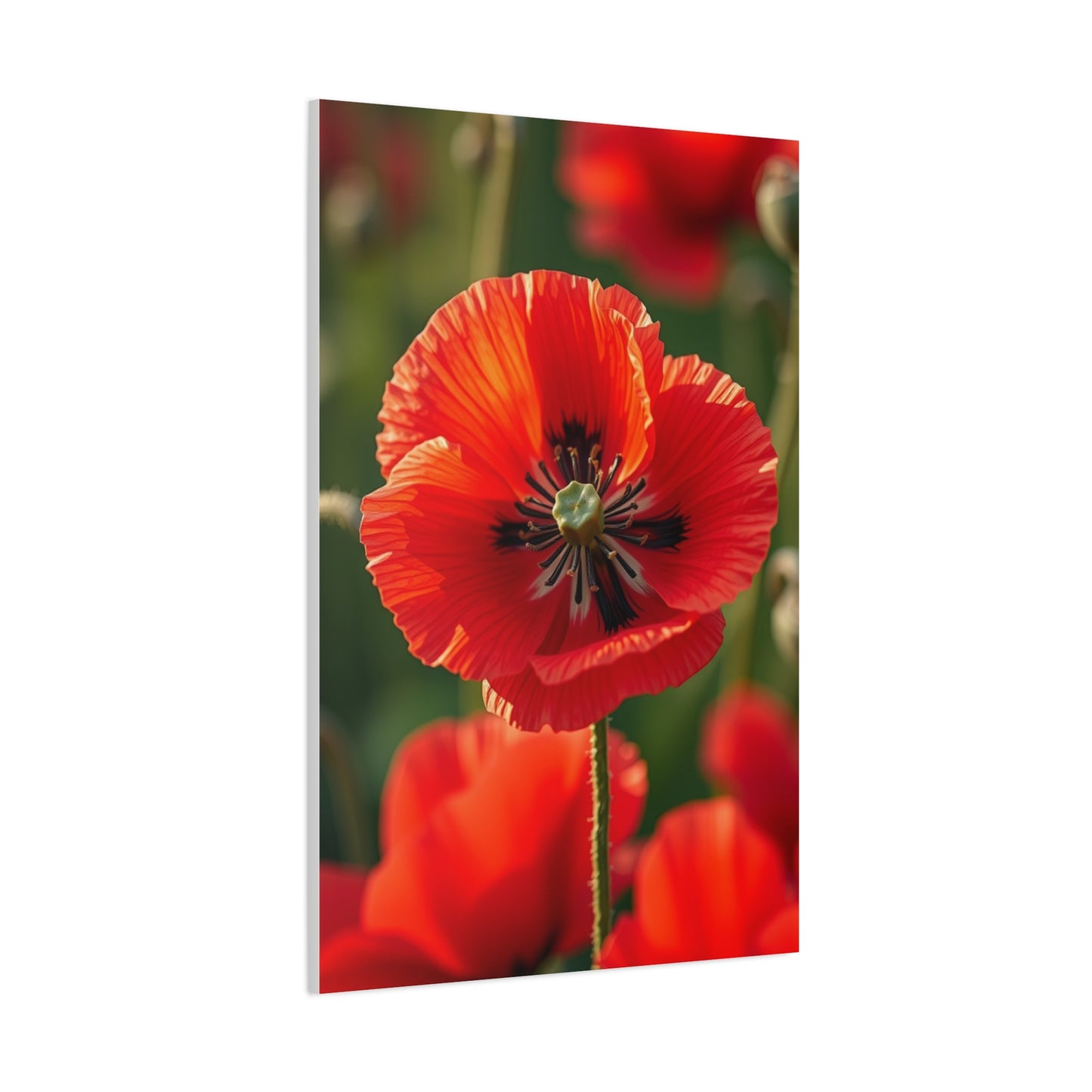 Vision Poppy Flower Art Art Wall Art & Canvas Print