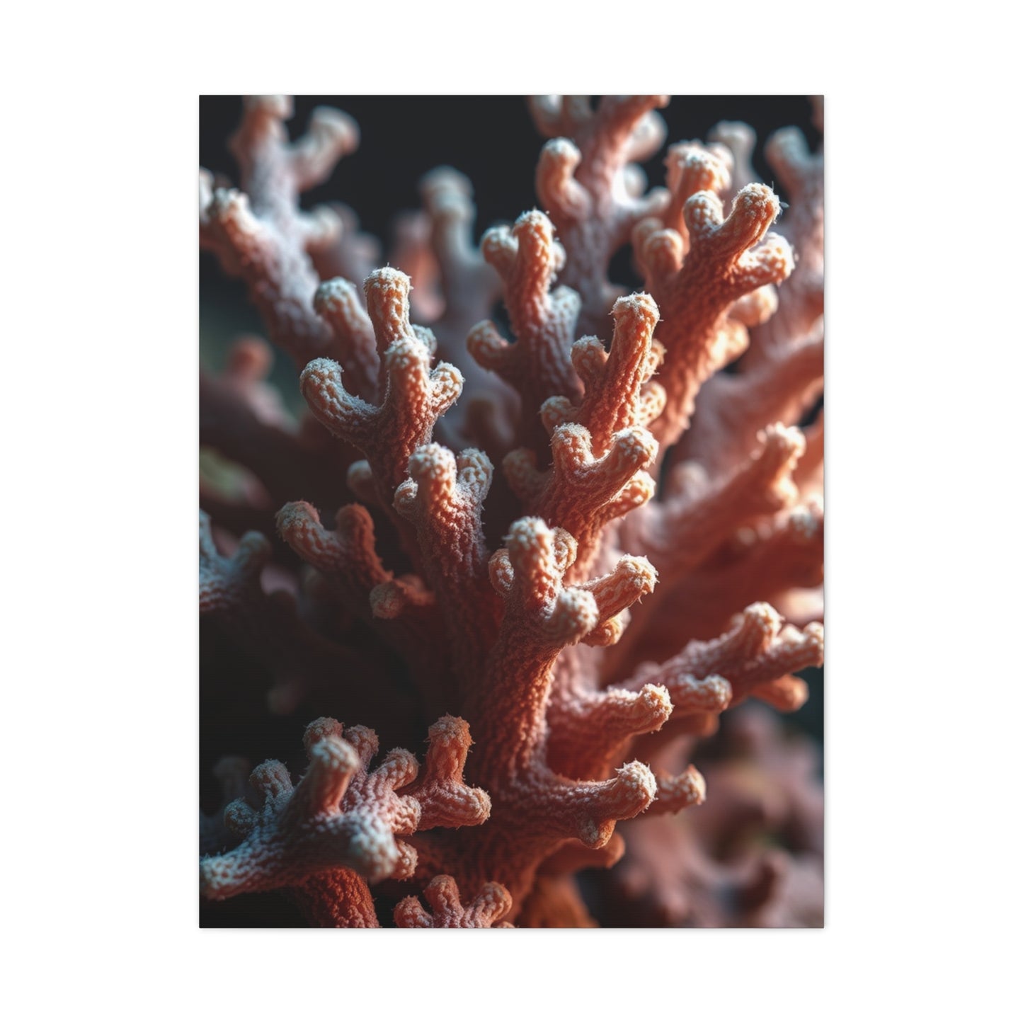 Coral Art Luxury Canvas Wall Art & Canvas Print