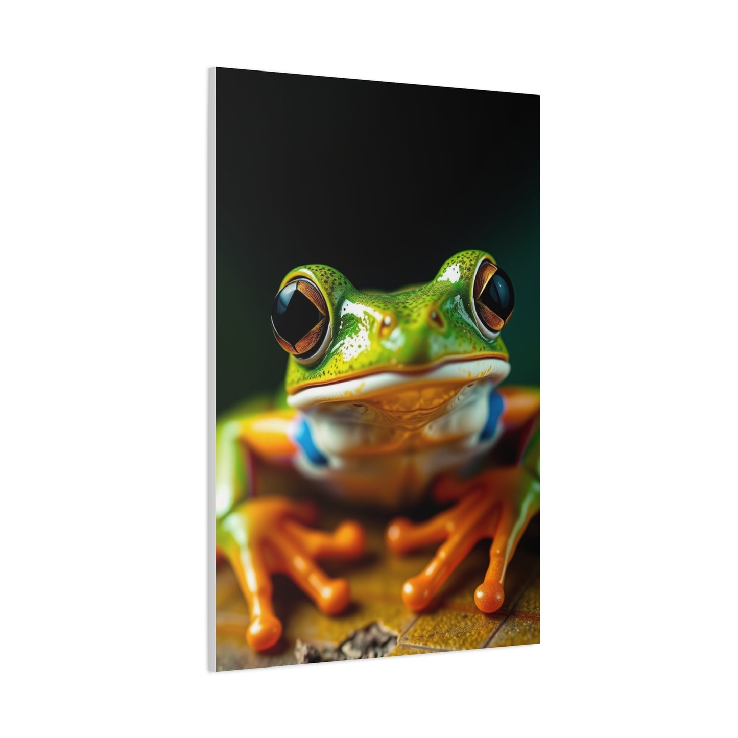 Elite Frog Art Vision Wall Art & Canvas Print