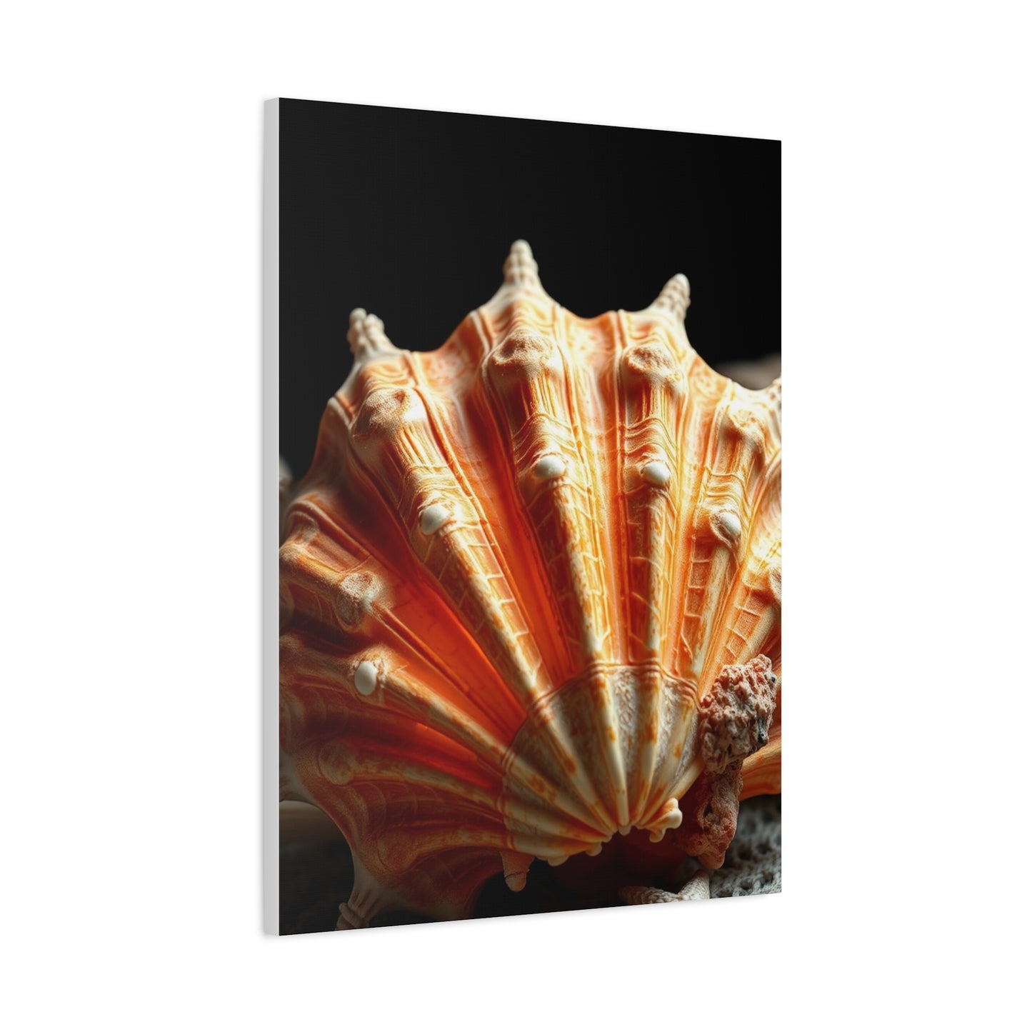 Sea Shell Art Supreme Gallery Wall Art & Canvas Print