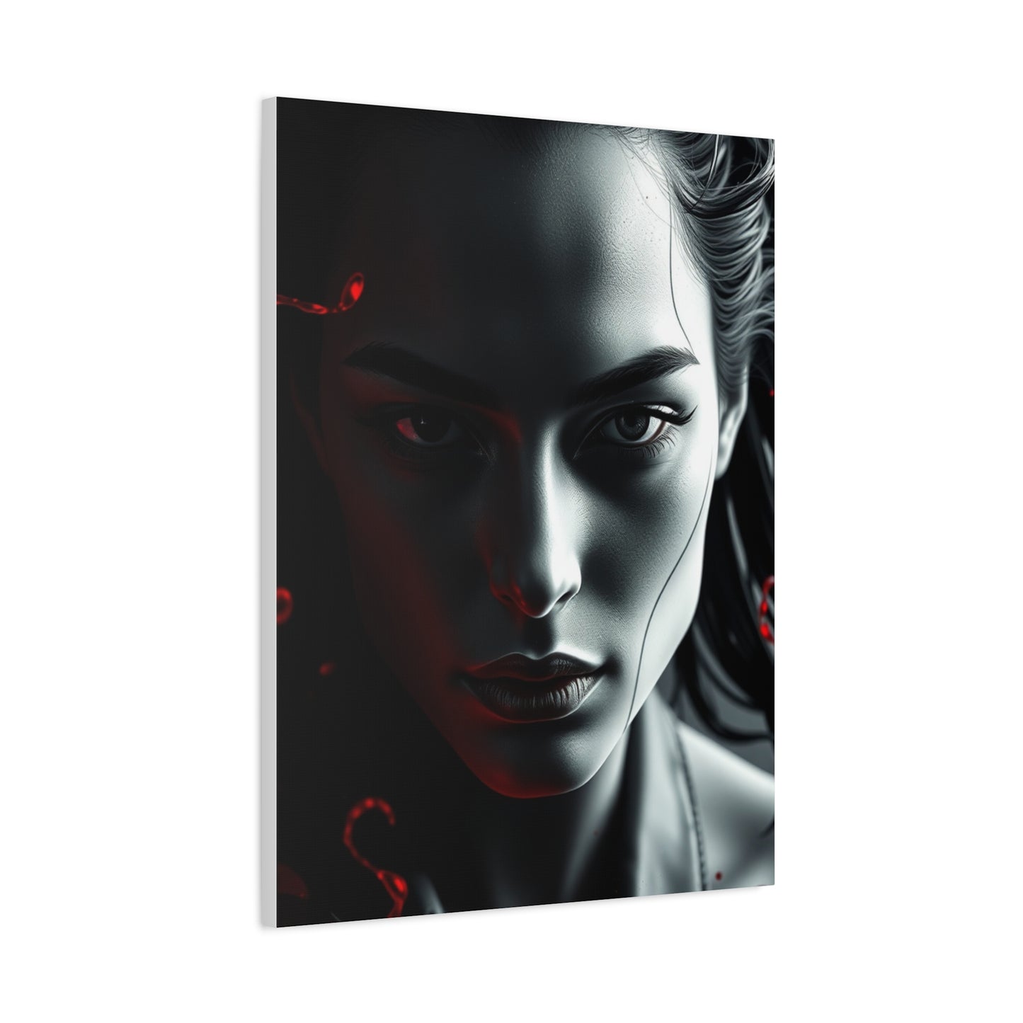 Black, White & Red Art Luxury Canvas Wall Art & Canvas Print