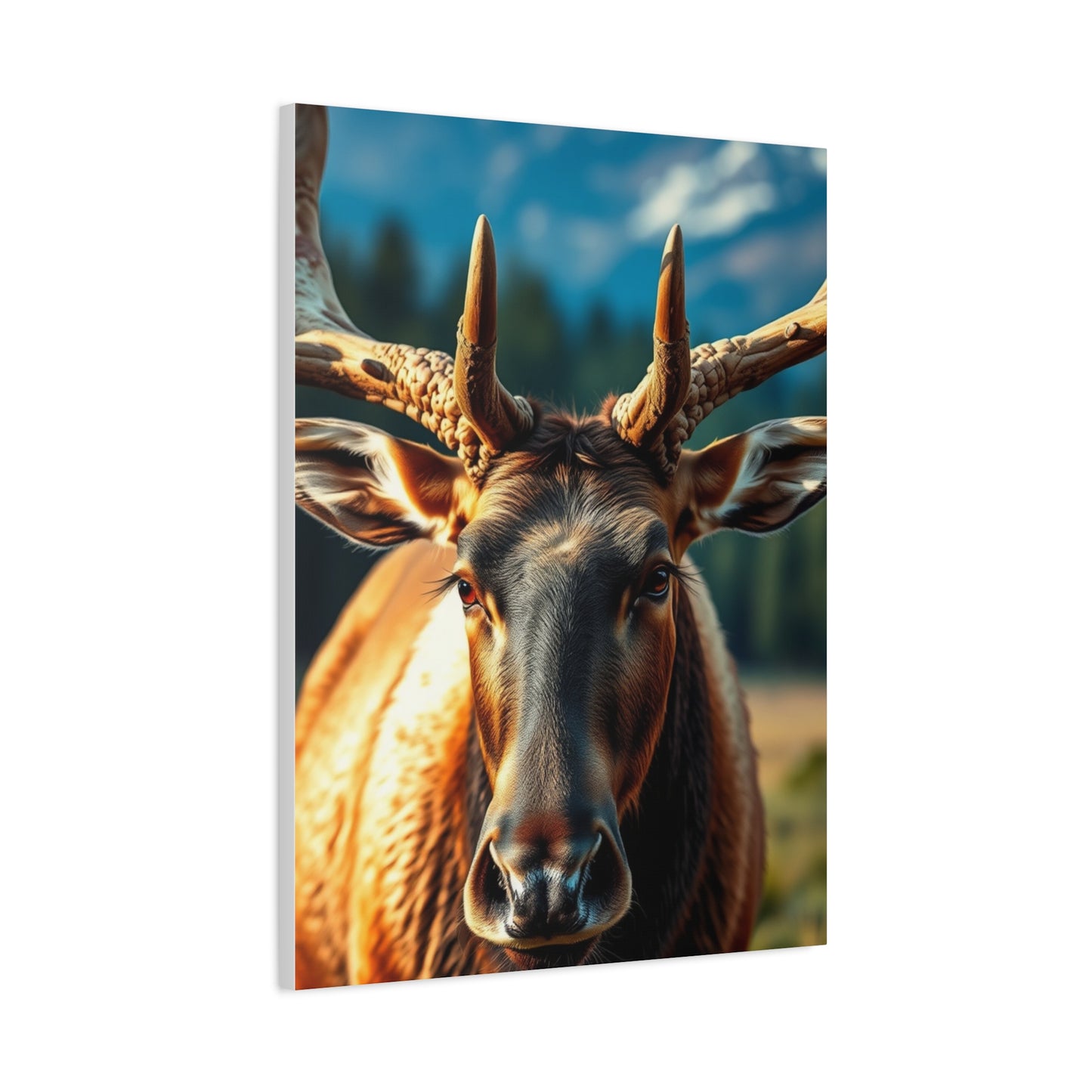 Supreme Elk Art Collection Wall Art & Canvas Print