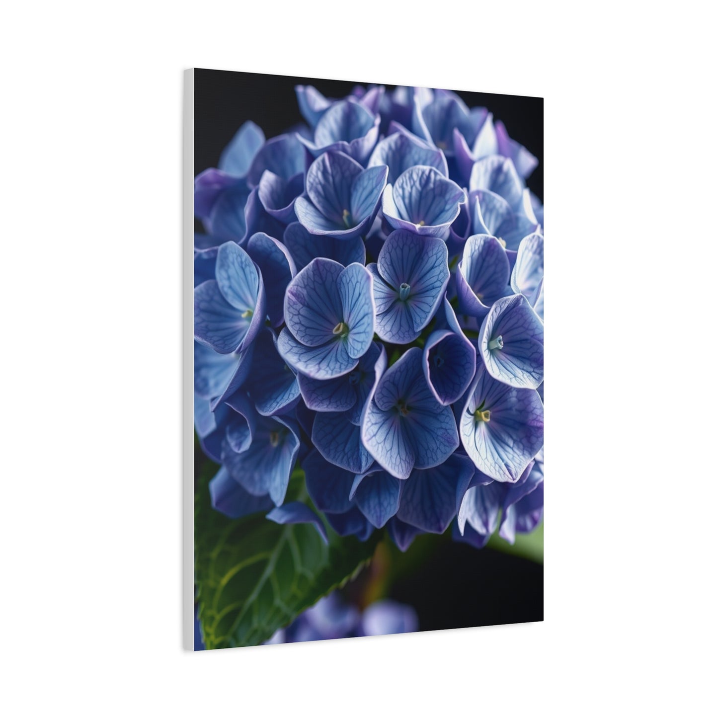 Hydrangea Flower Art Supreme Gallery Wall Art & Canvas Print