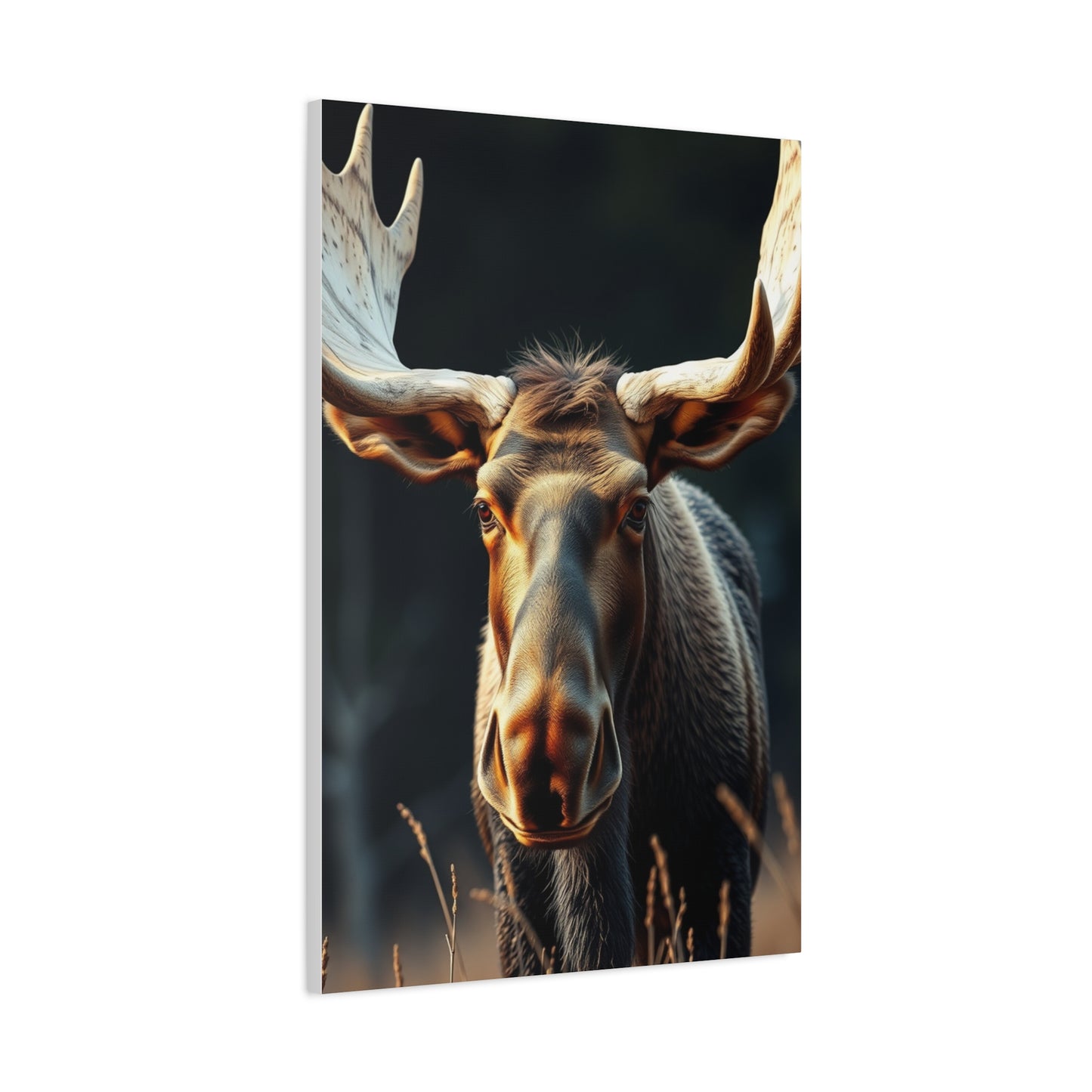 Moose Art Supreme Gallery Wall Art & Canvas Print