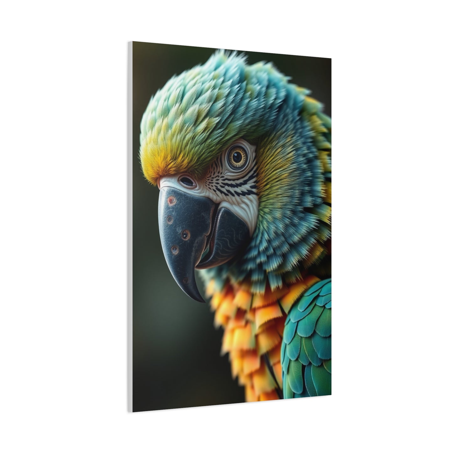 Supreme Parrot Art Collection Wall Art & Canvas Print