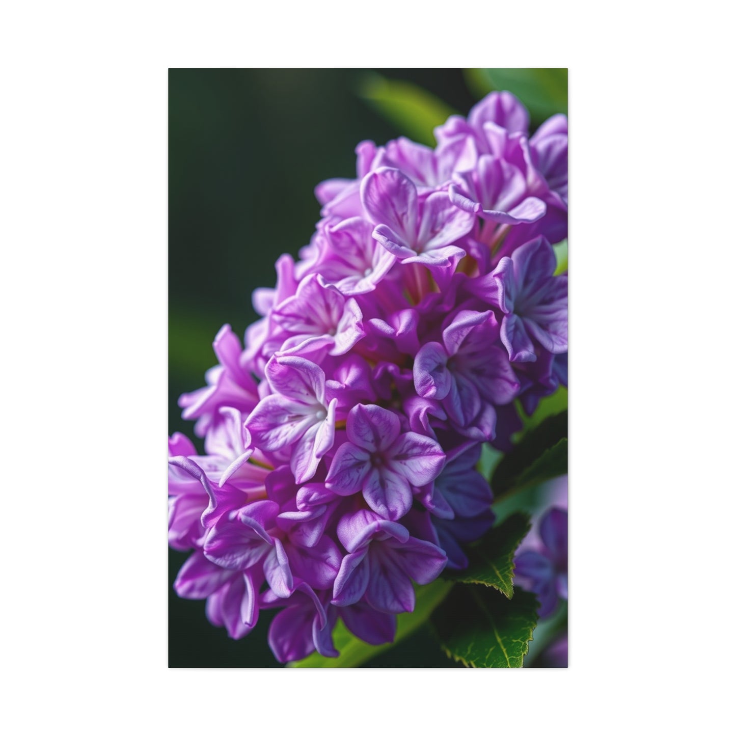 Supreme Lilac Flower Art Collection Wall Art & Canvas Print