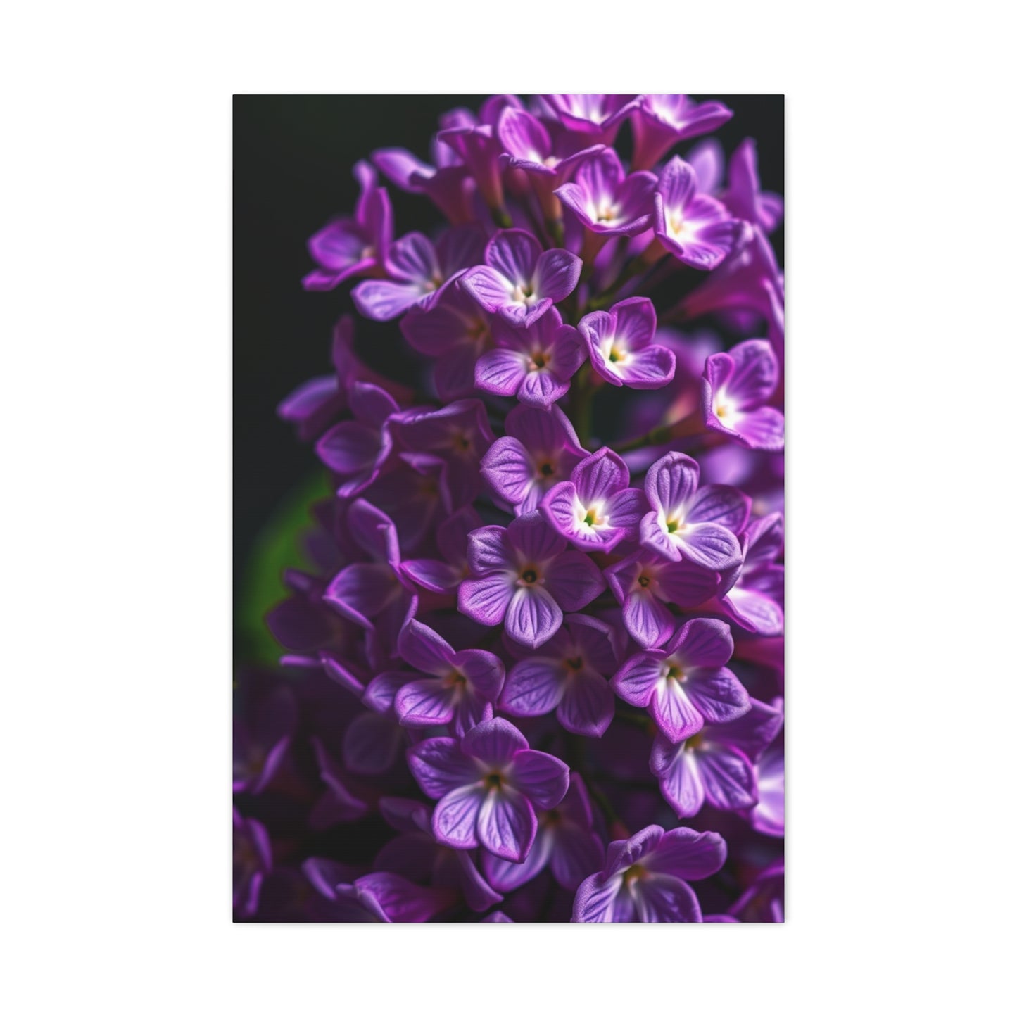 Masterpiece Lilac Flower Art Vision Wall Art & Canvas Print