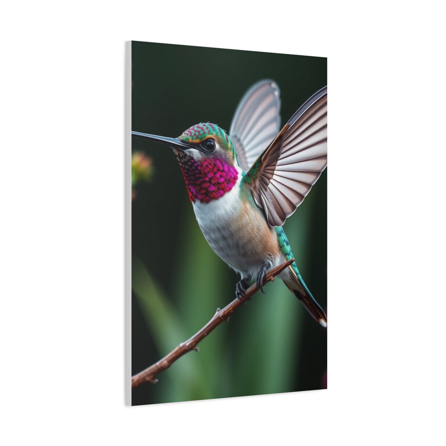 Humming Bird Art Supreme Gallery Wall Art & Canvas Print
