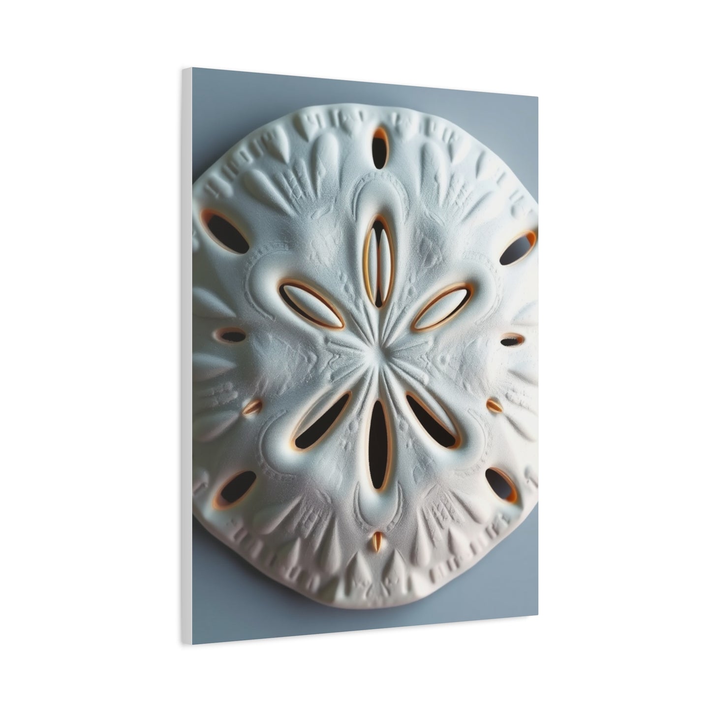 Supreme Sand Dollar Art Collection Wall Art & Canvas Print