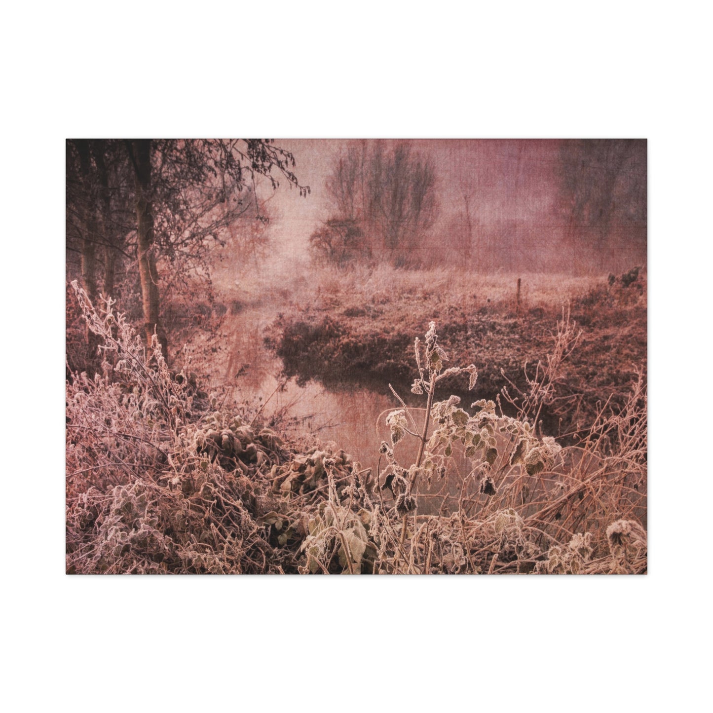 Frosty Dawn Wall Art & Canvas Prints