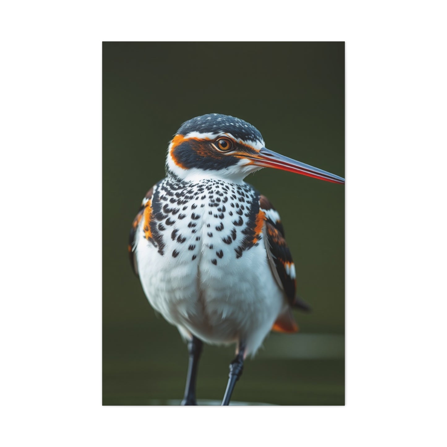 Collection Sandpiper Art Art Wall Art & Canvas Print