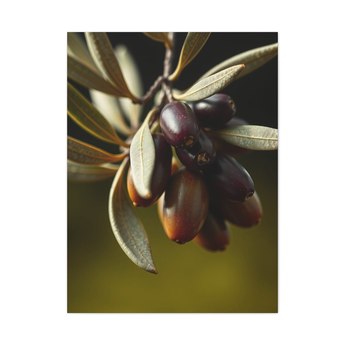 Olive Luxe Masterpiece