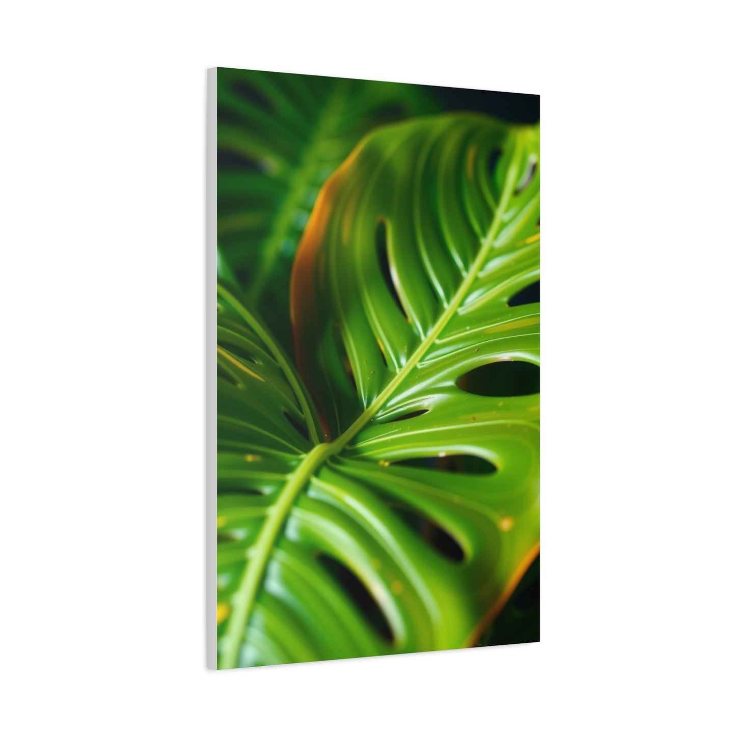 Supreme Monstera Plant Art Collection Wall Art & Canvas Print