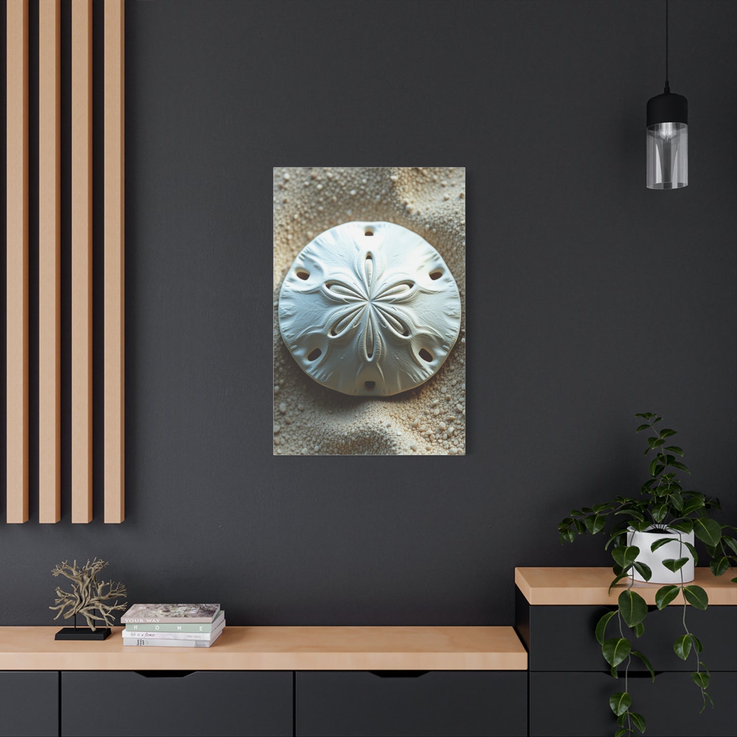 Vision Sand Dollar Art Art Wall Art & Canvas Print