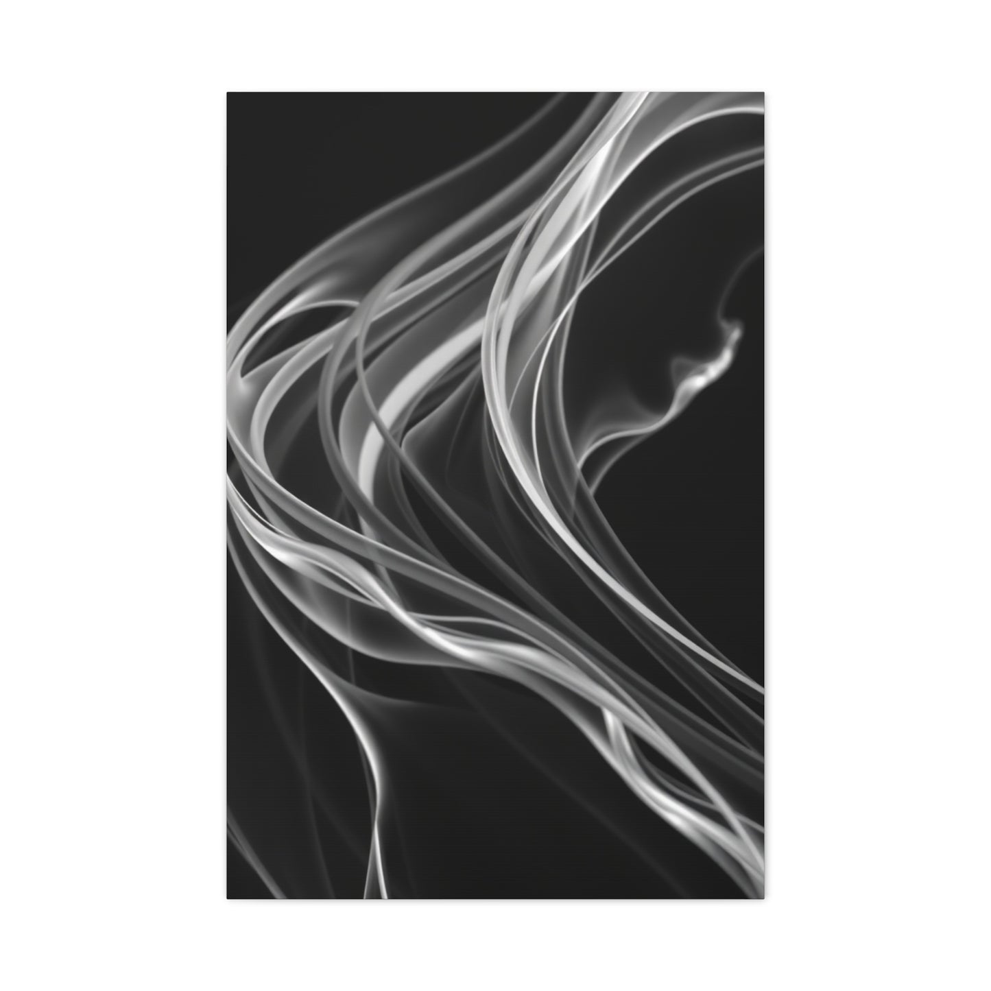 Vision Black and White Abstract Art Art Wall Art & Canvas Print