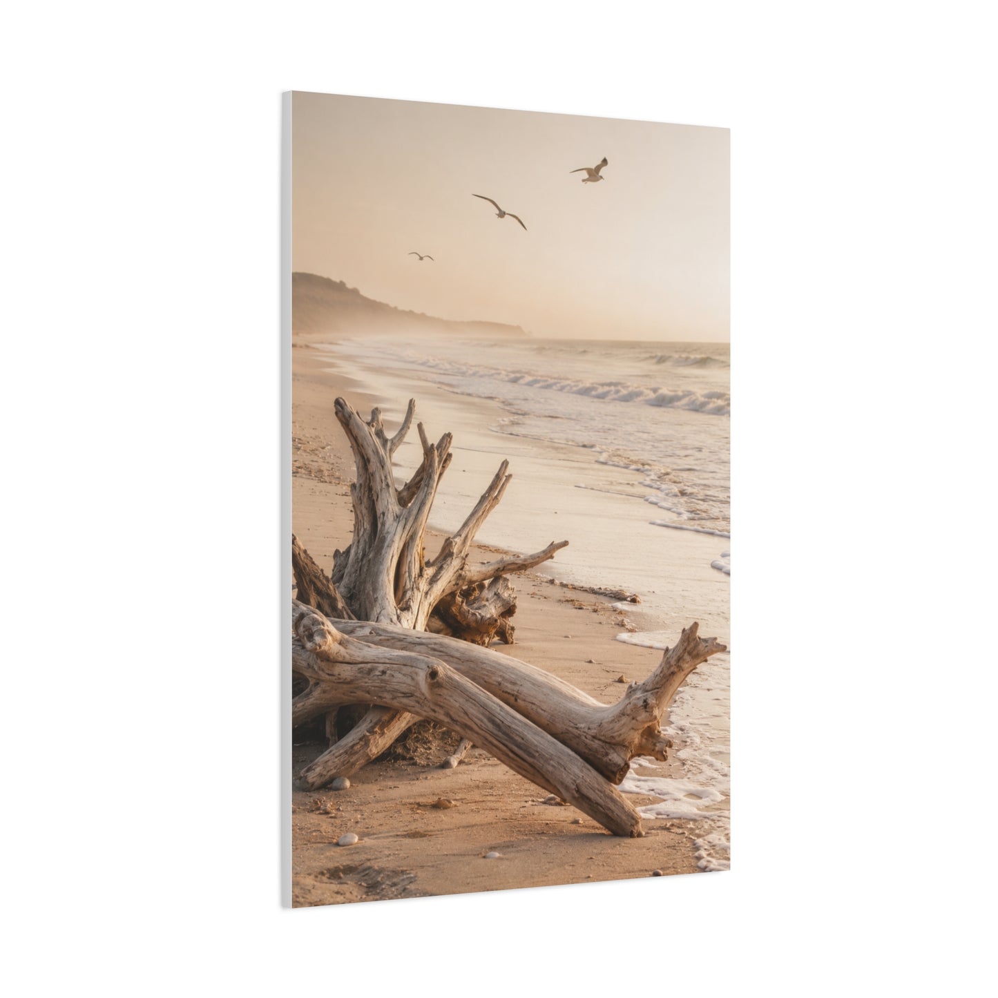 Driftwood Coastal Stillness Shore Wall Art & Canvas Print