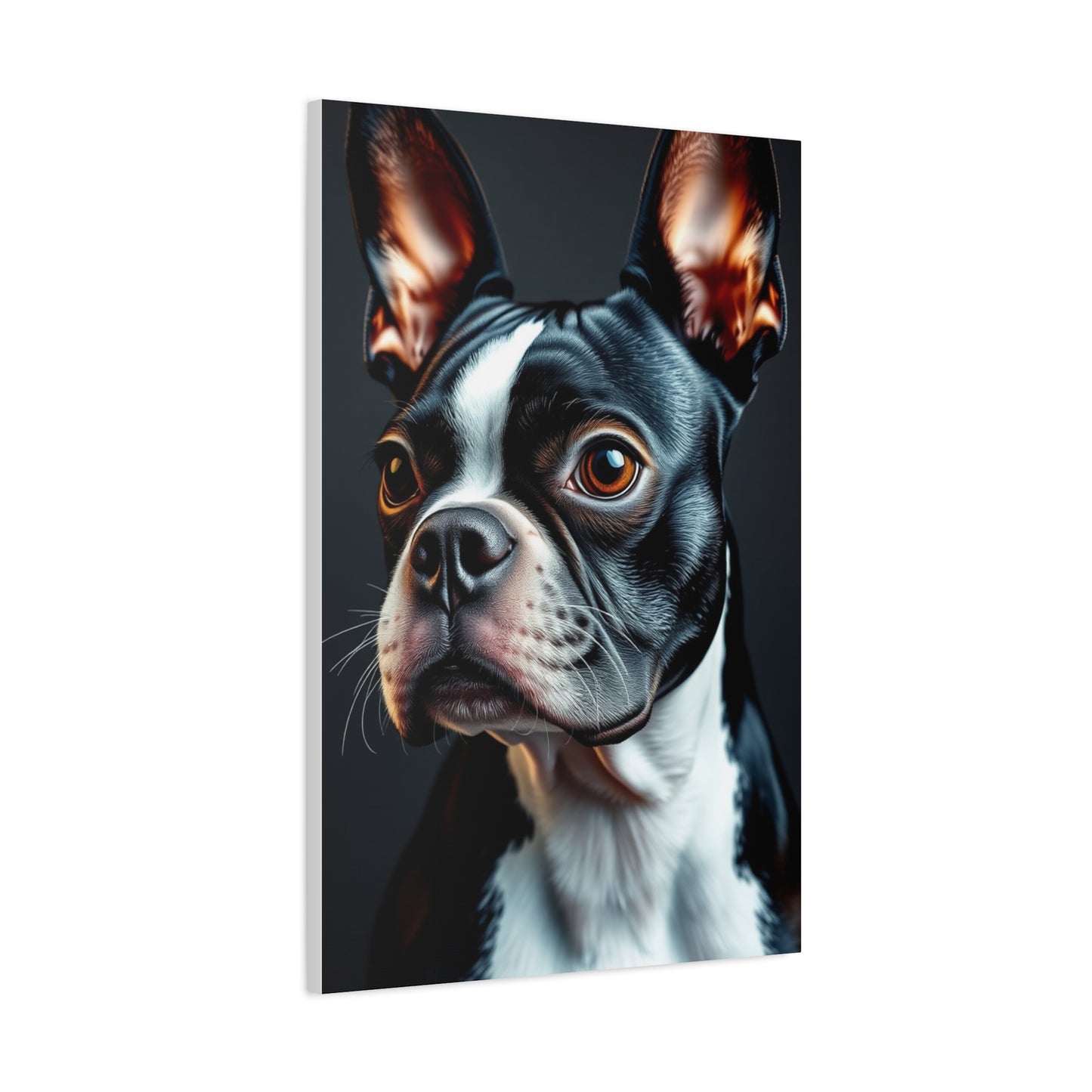 Boston Terrier Art Supreme Gallery Wall Art & Canvas Print