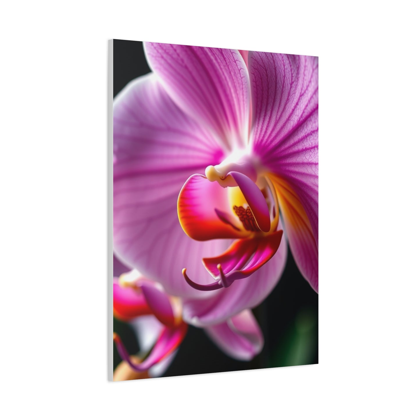 Masterpiece Orchid Flower Art Vision Wall Art & Canvas Print