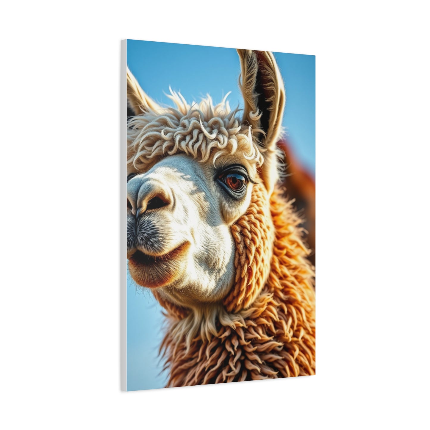 Supreme Llama & Alpaca Art Collection Wall Art & Canvas Print