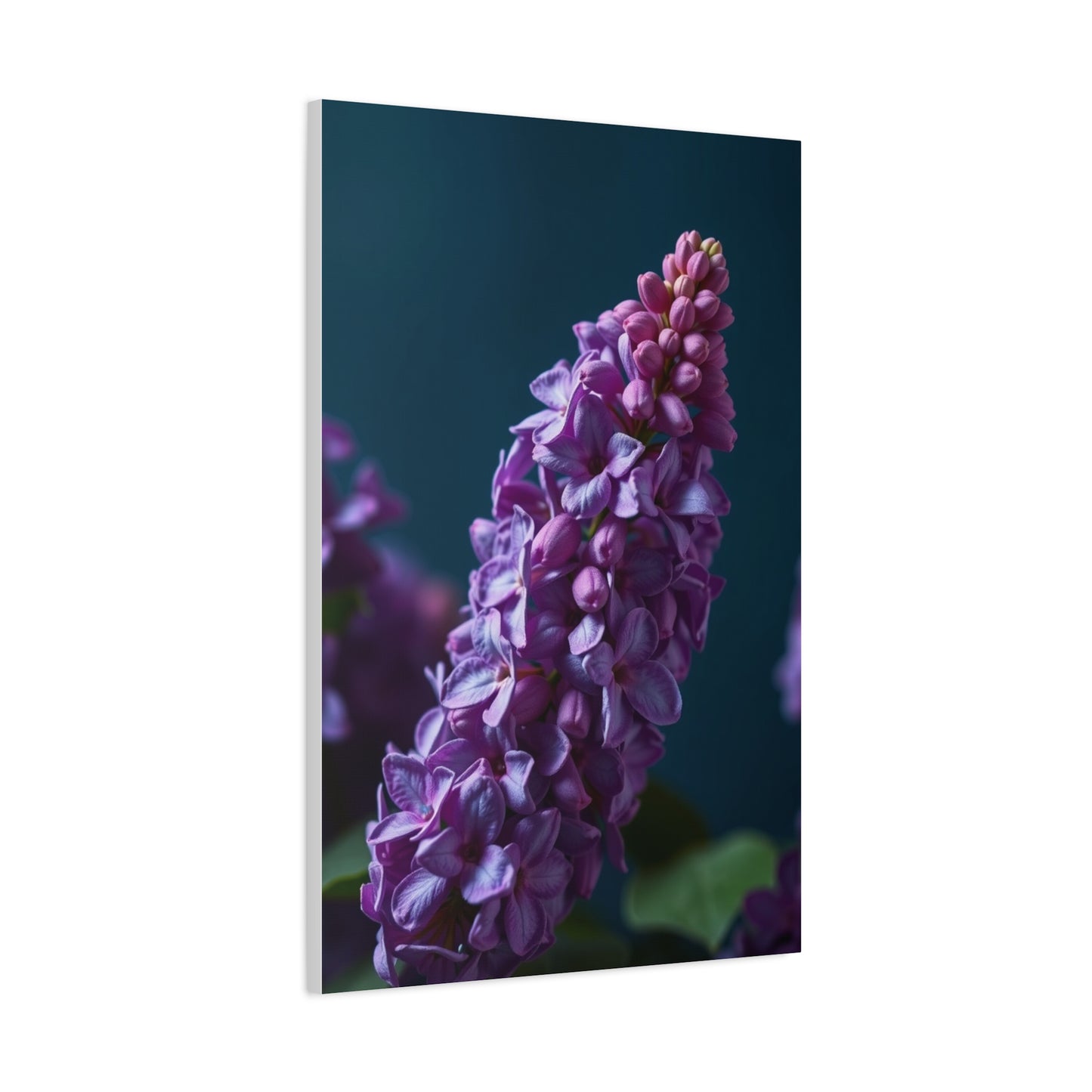 Elite Lilac Flower Art Vision Wall Art & Canvas Print