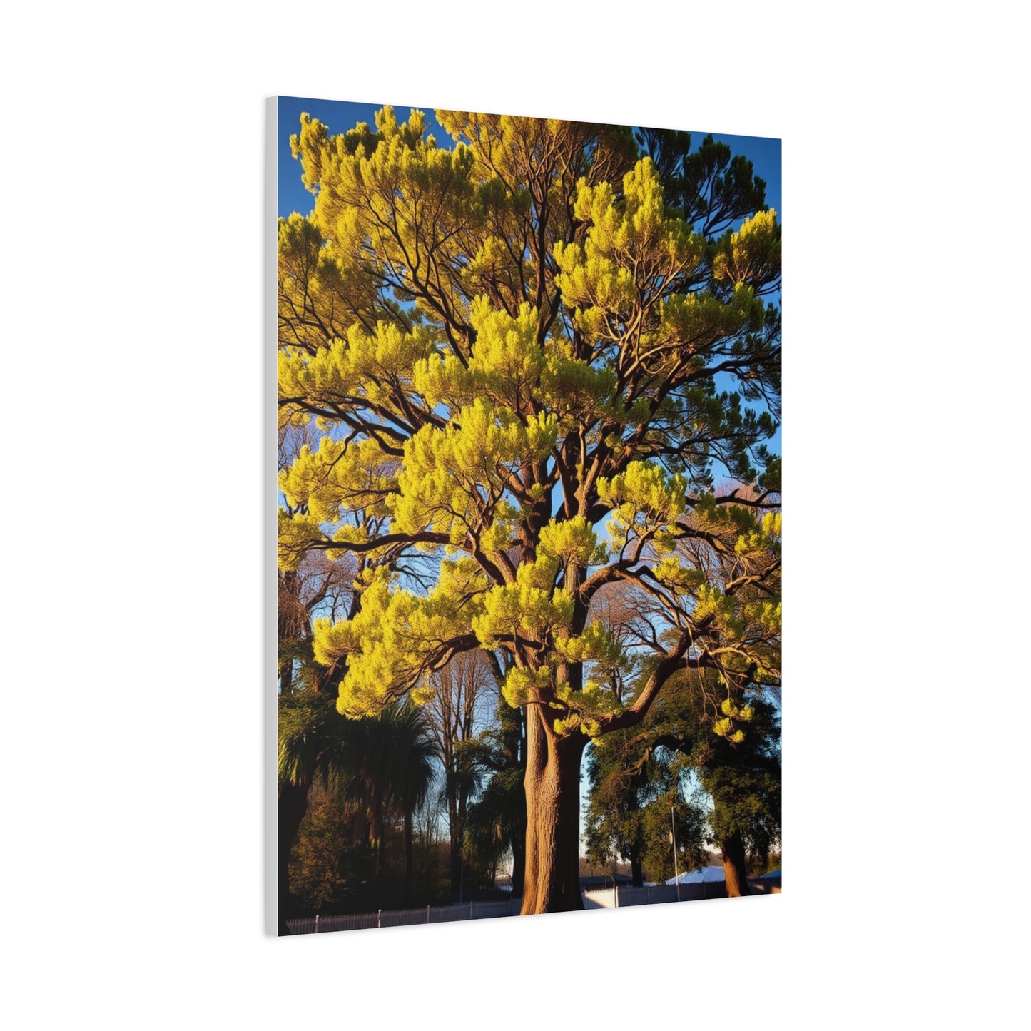 Lush Canopy Collection Wall Art & Canvas Print