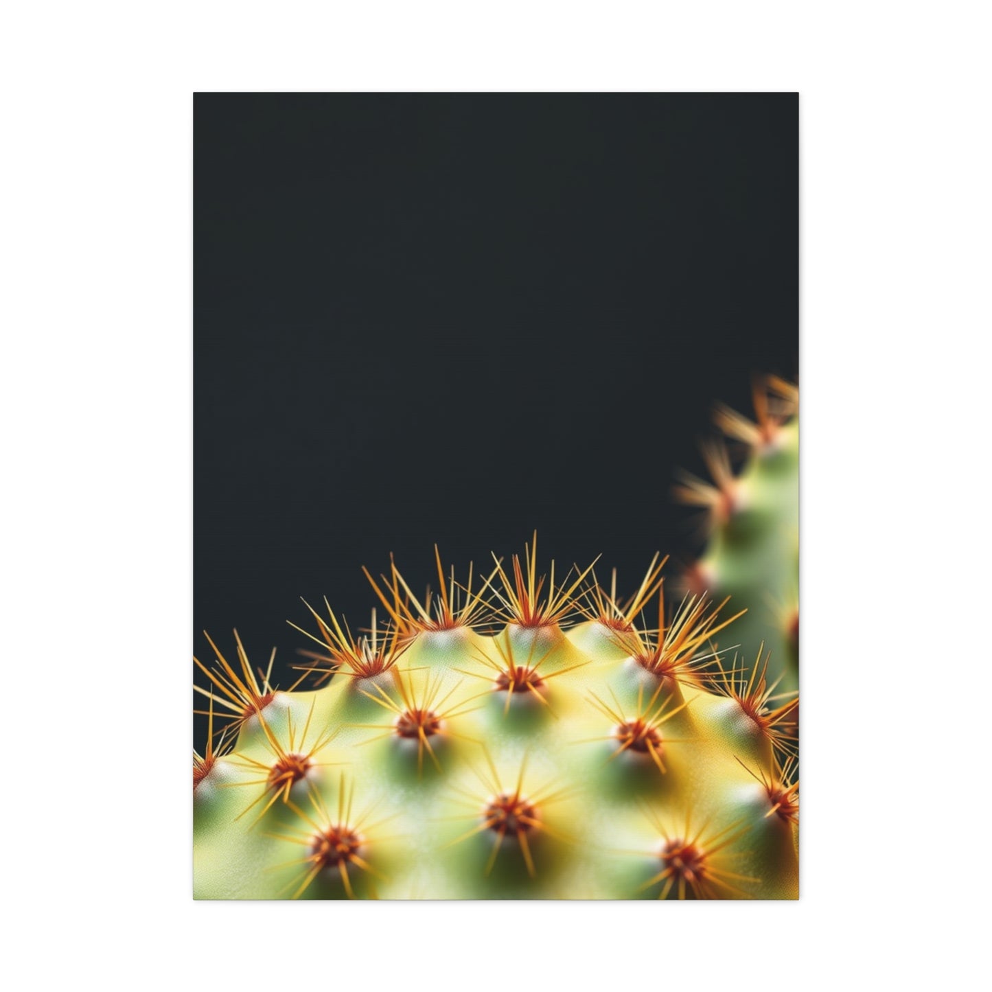 Prickly Grace Gallery Wall Art & Canvas Print