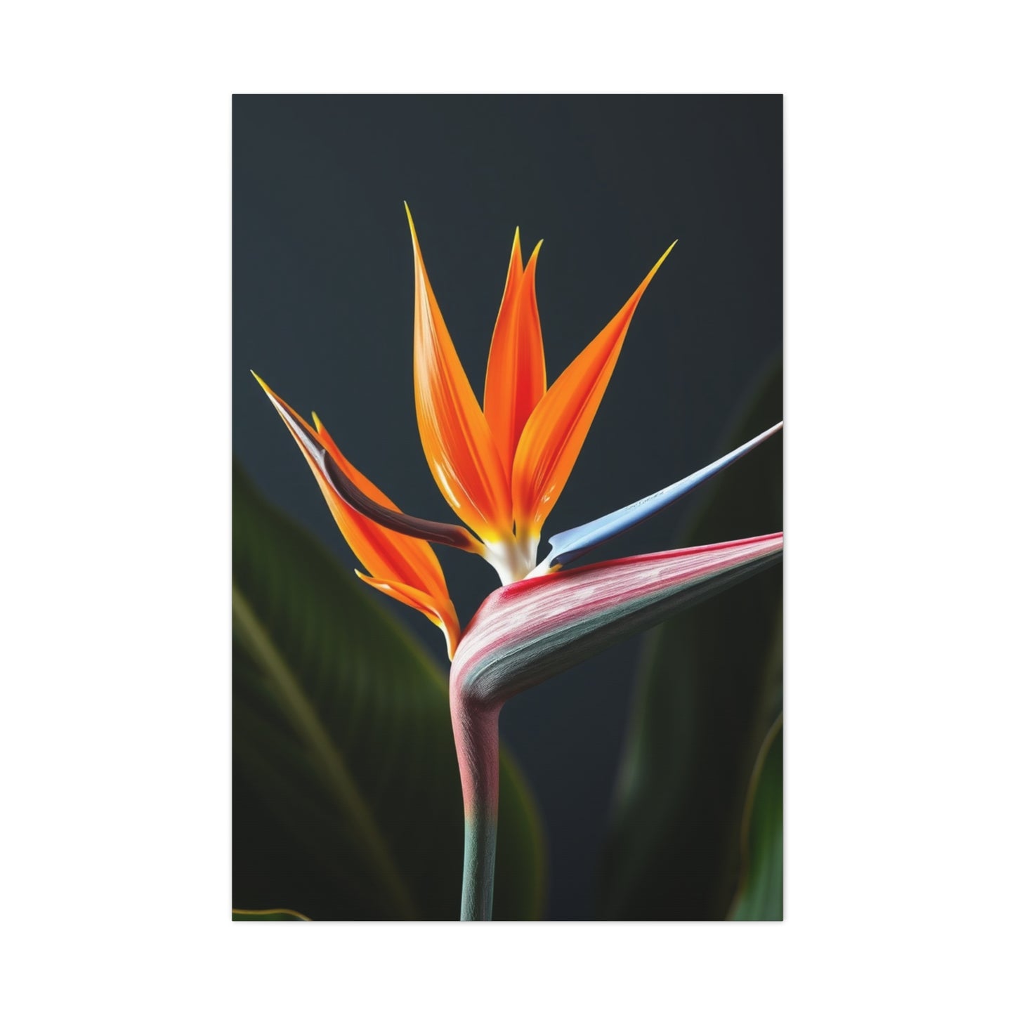 Supreme Bird of Paradise Plant Art Collection Wall Art & Canvas Print