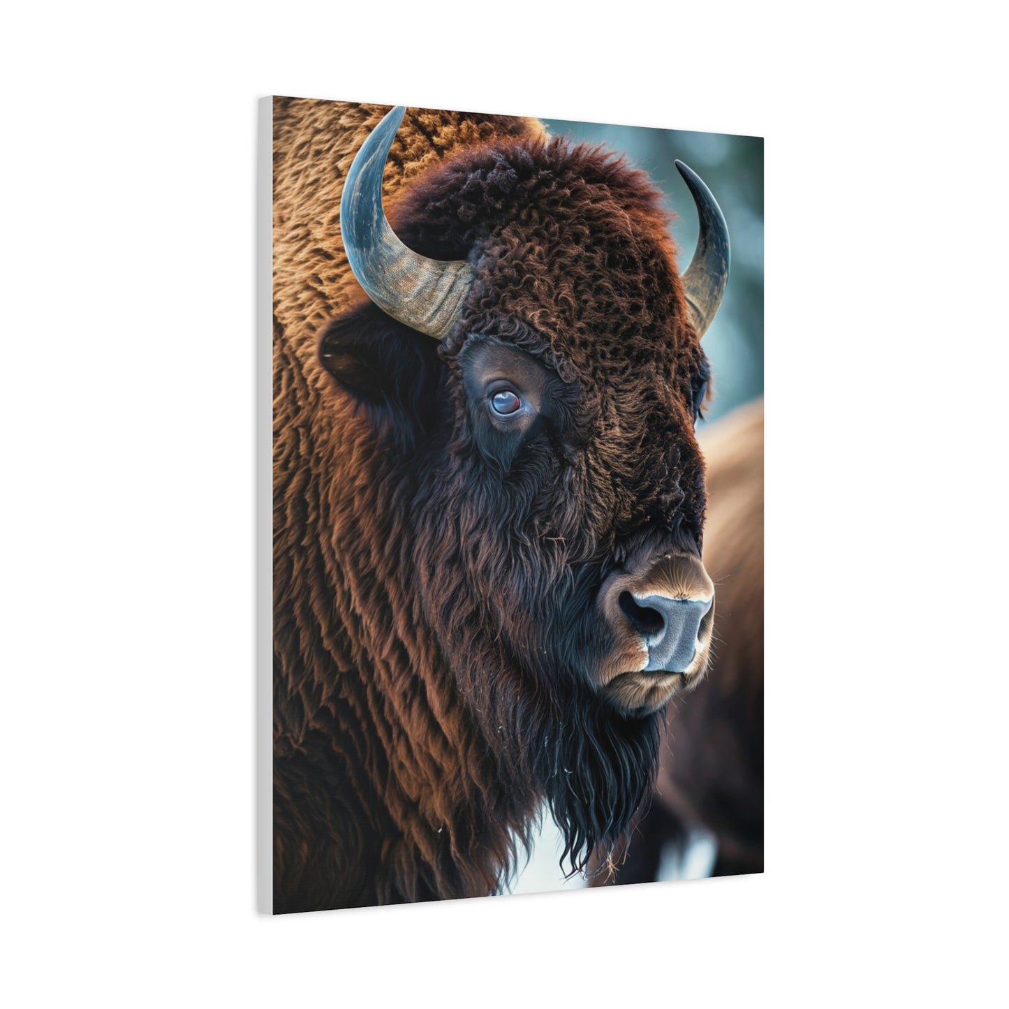 Three-Quarter Angle American Bison with Soft Natural Backdrop Wall Art & Canvas Print