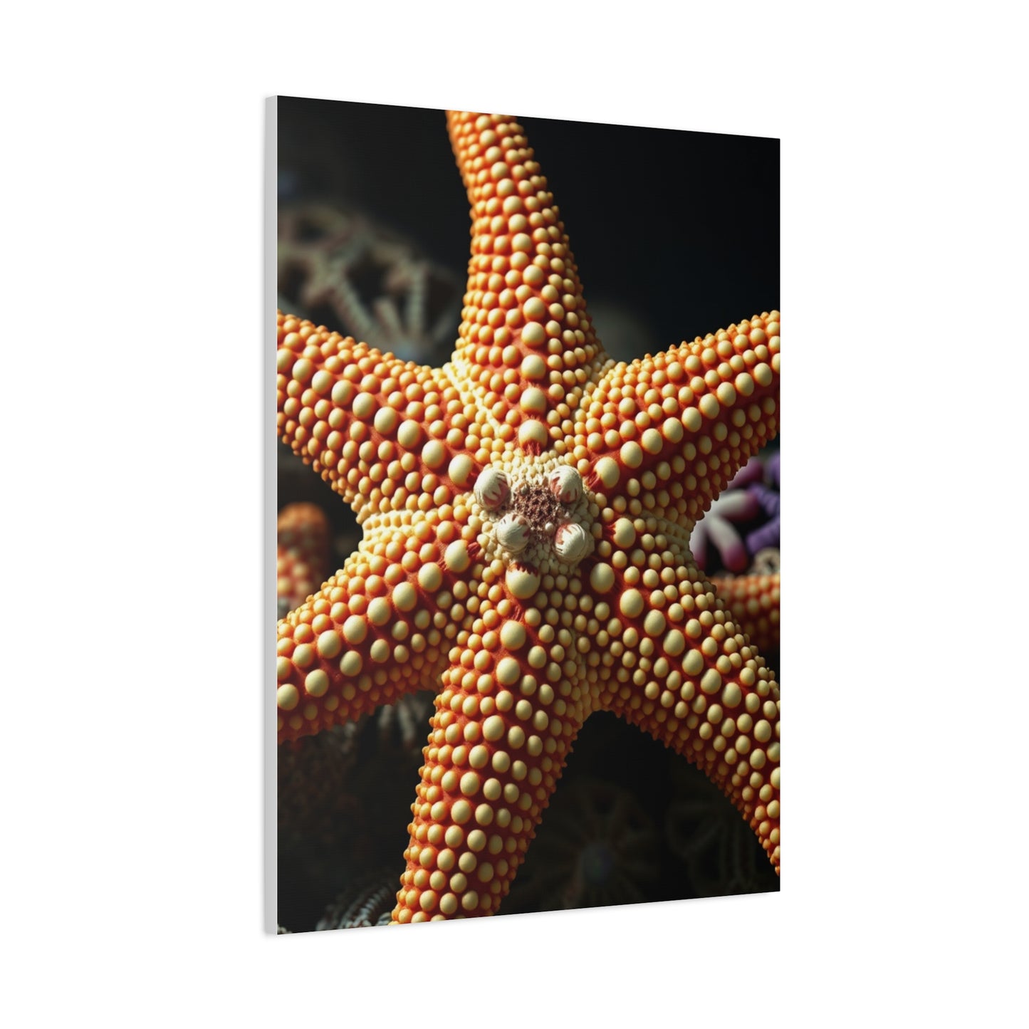 Supreme Starfish Art Collection Wall Art & Canvas Print