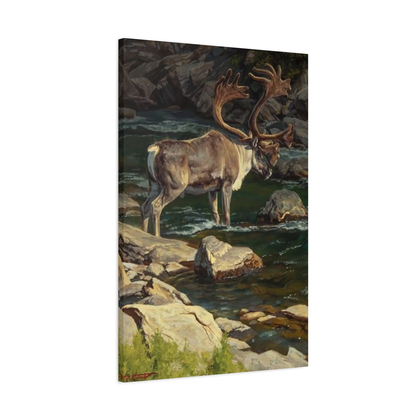 Reindeer Photography Wall Art & Canvas Prints