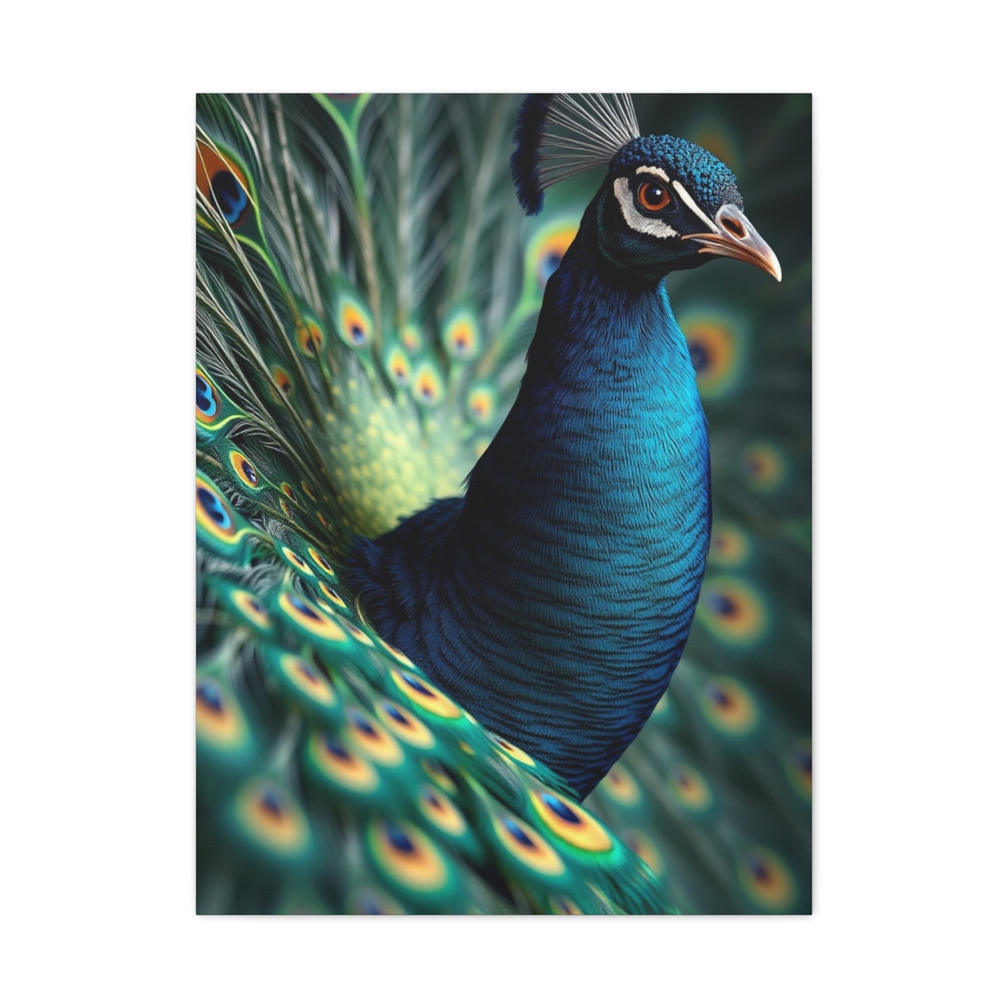 Peacock Art Luxury Canvas Wall Art & Canvas Print