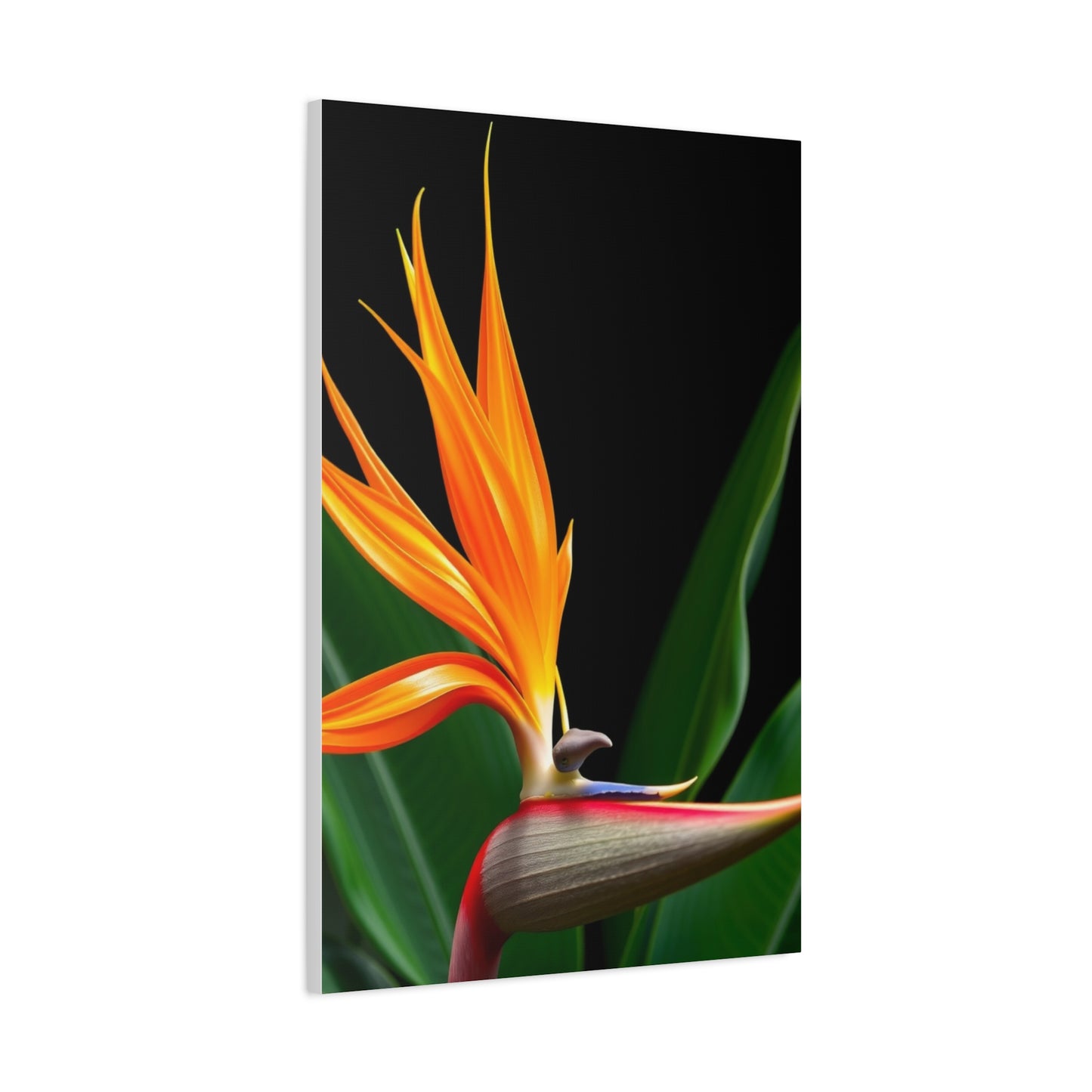 Bird of Paradise Plant Art Refined Canvas Wall Art & Canvas Print