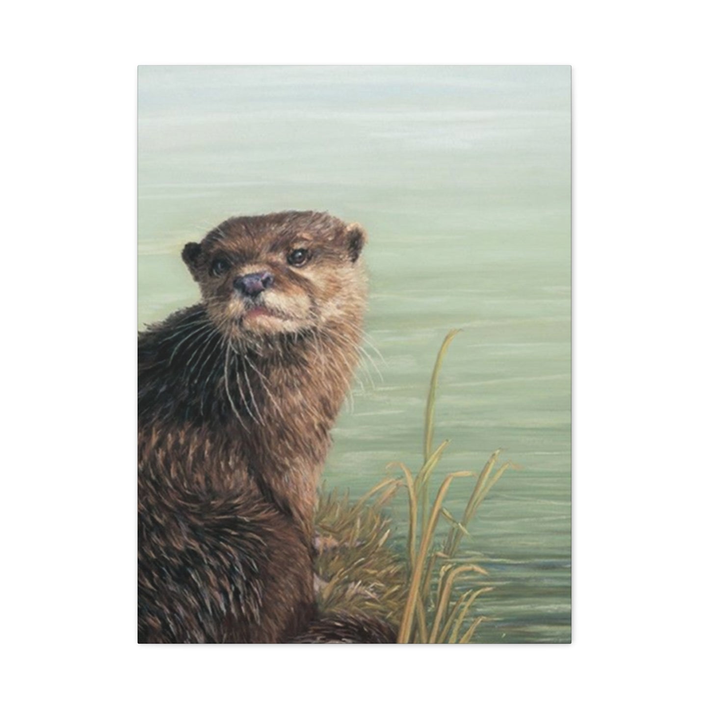 Otter Wall Art & Canvas Prints